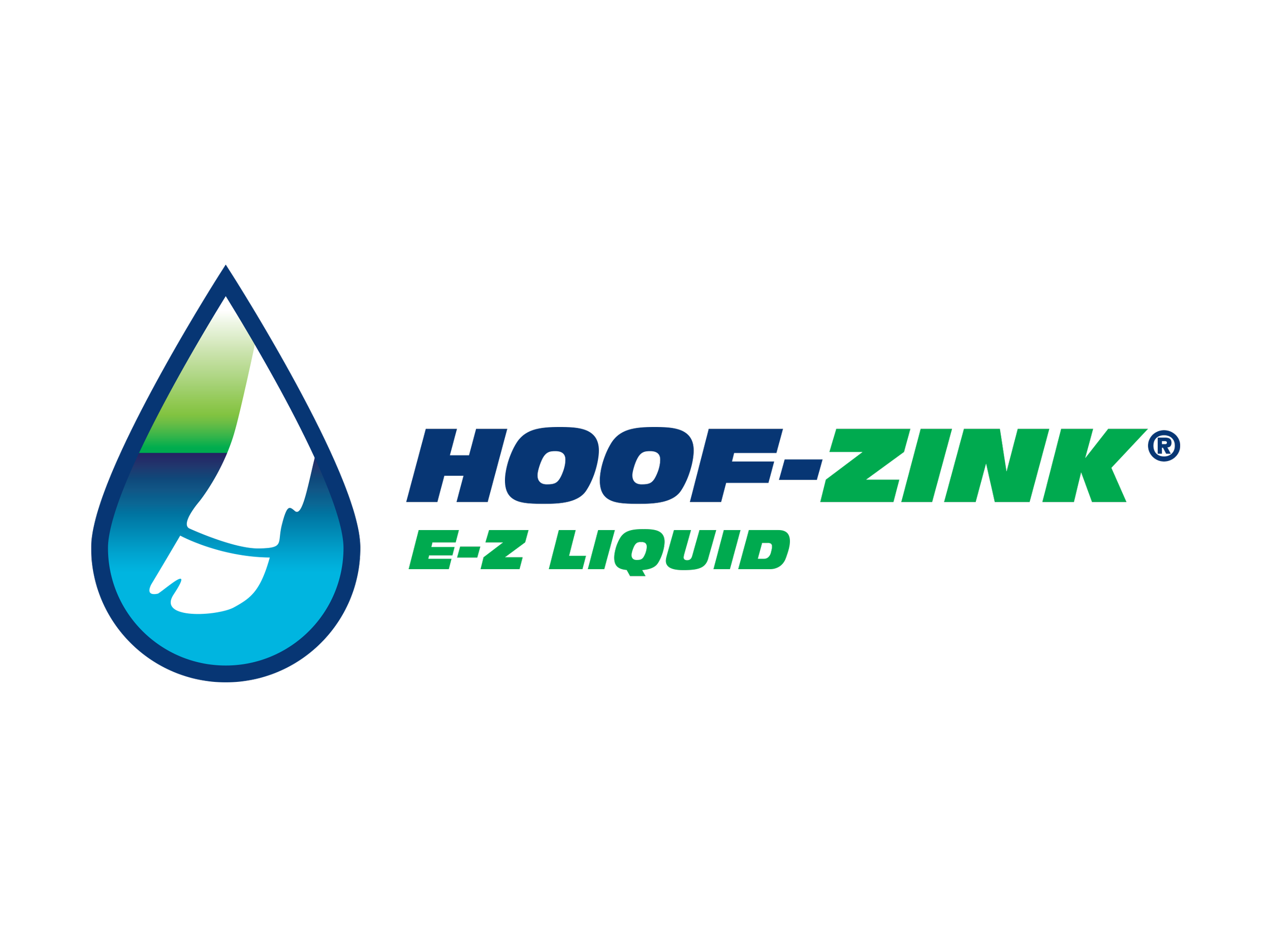 Hoof-Zink E-Z Liquid Logo.png