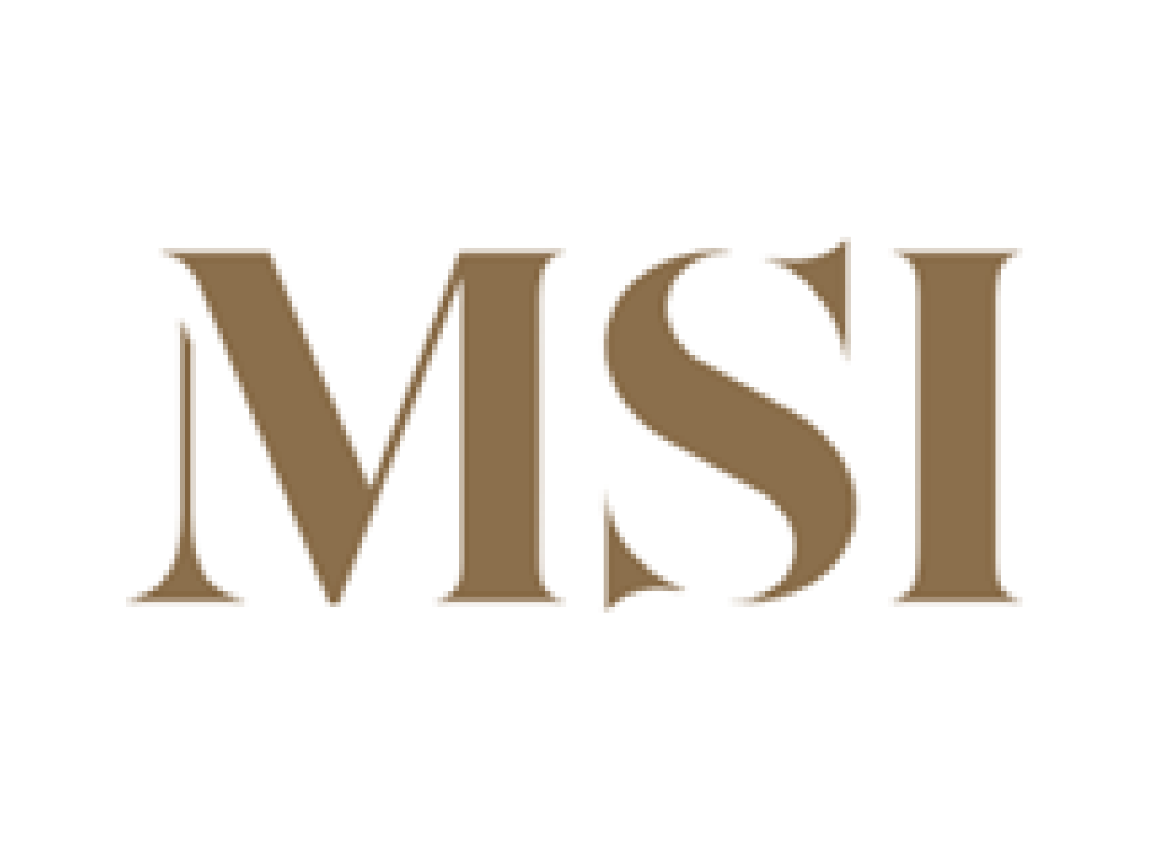 MSI 2025.png