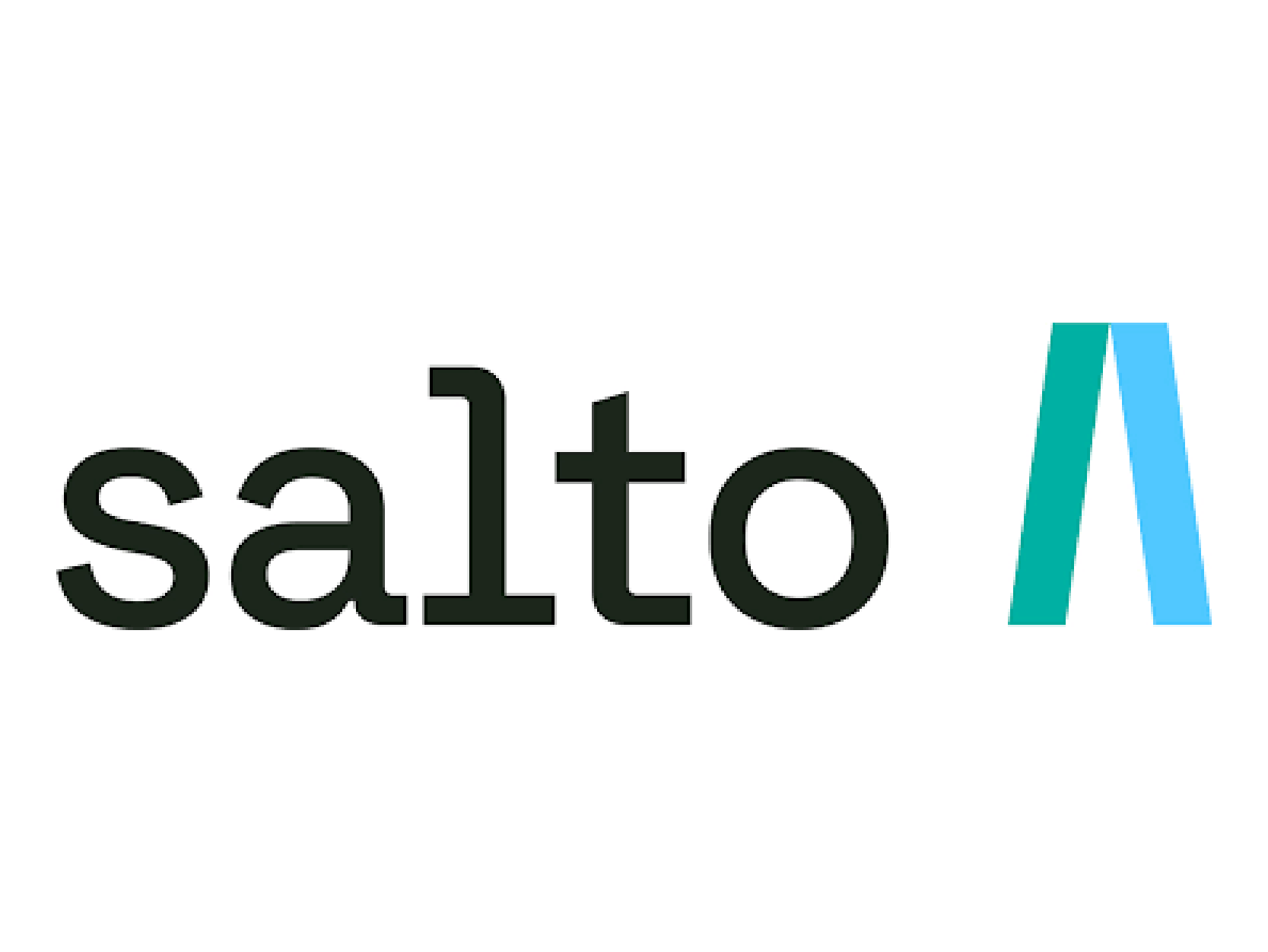 Salto Systems.png