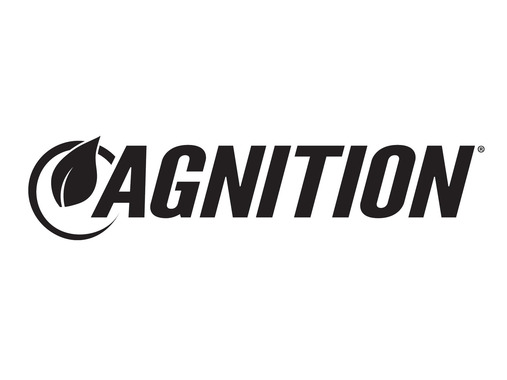AGNITION_bw.png