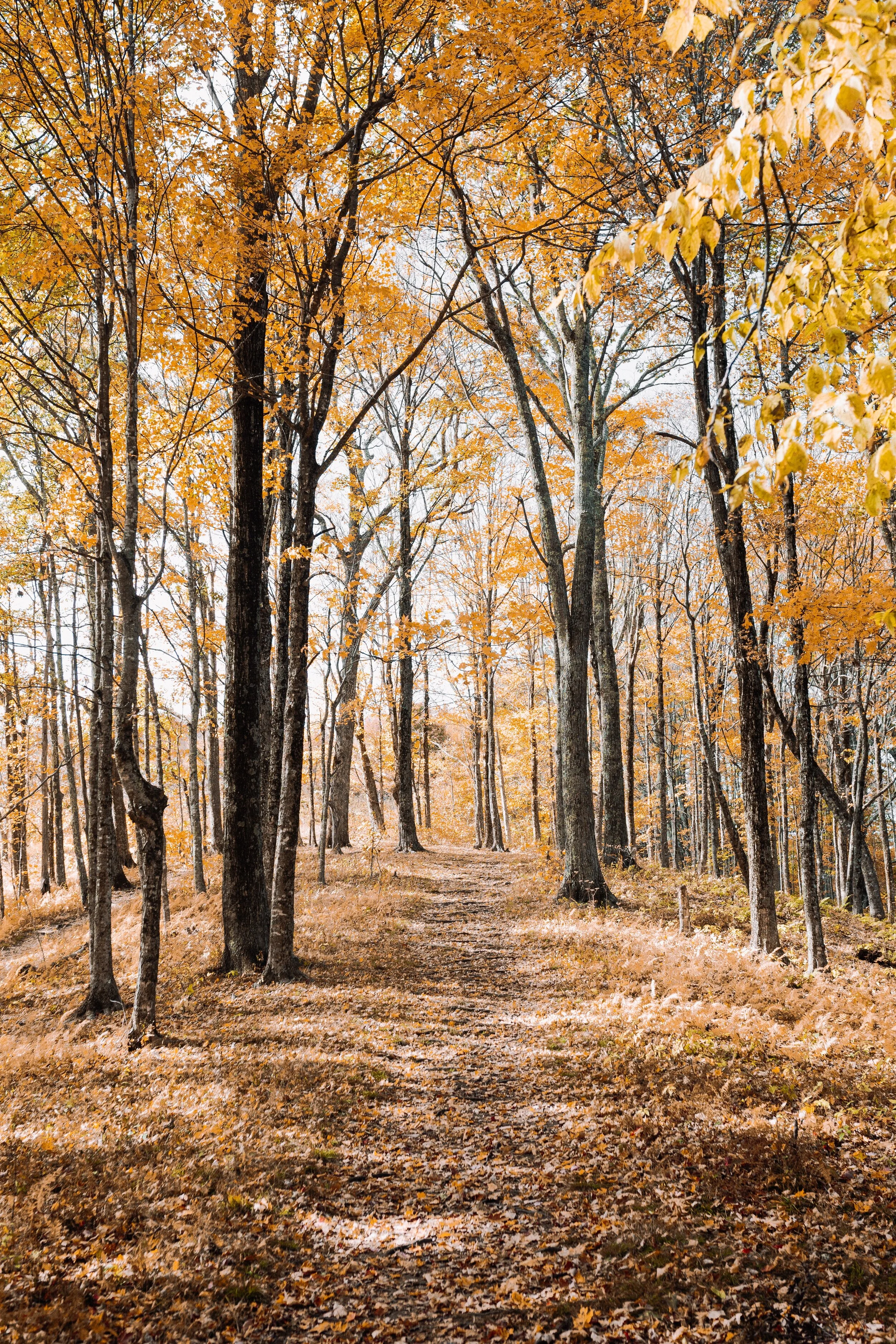 10 Ways to Relieve Stress on Your Lunch Hour