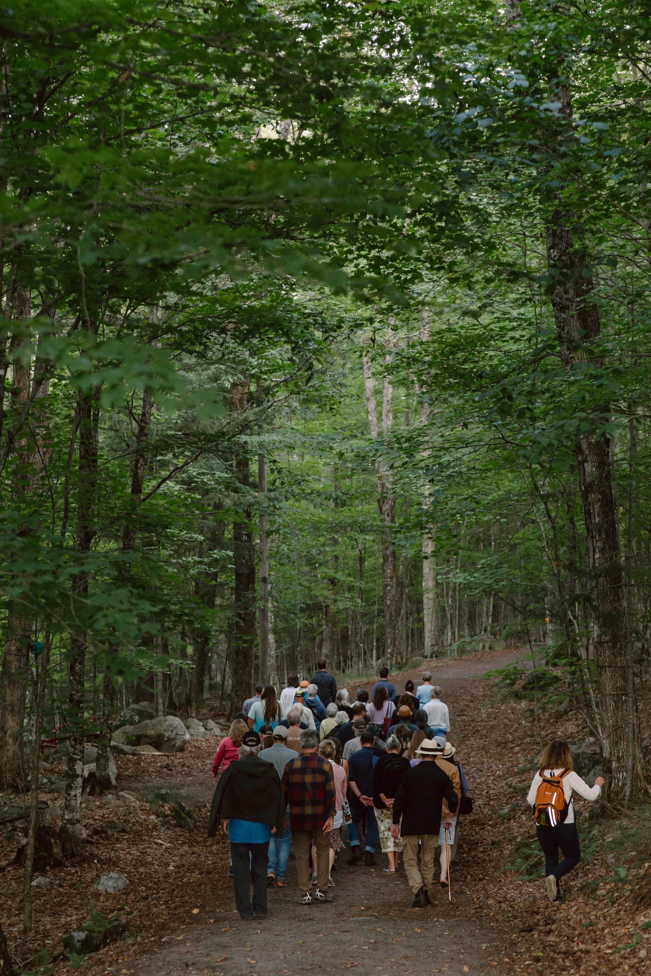 A group of people walking on a forest trail surrounded by tall trees with lush green leaves.