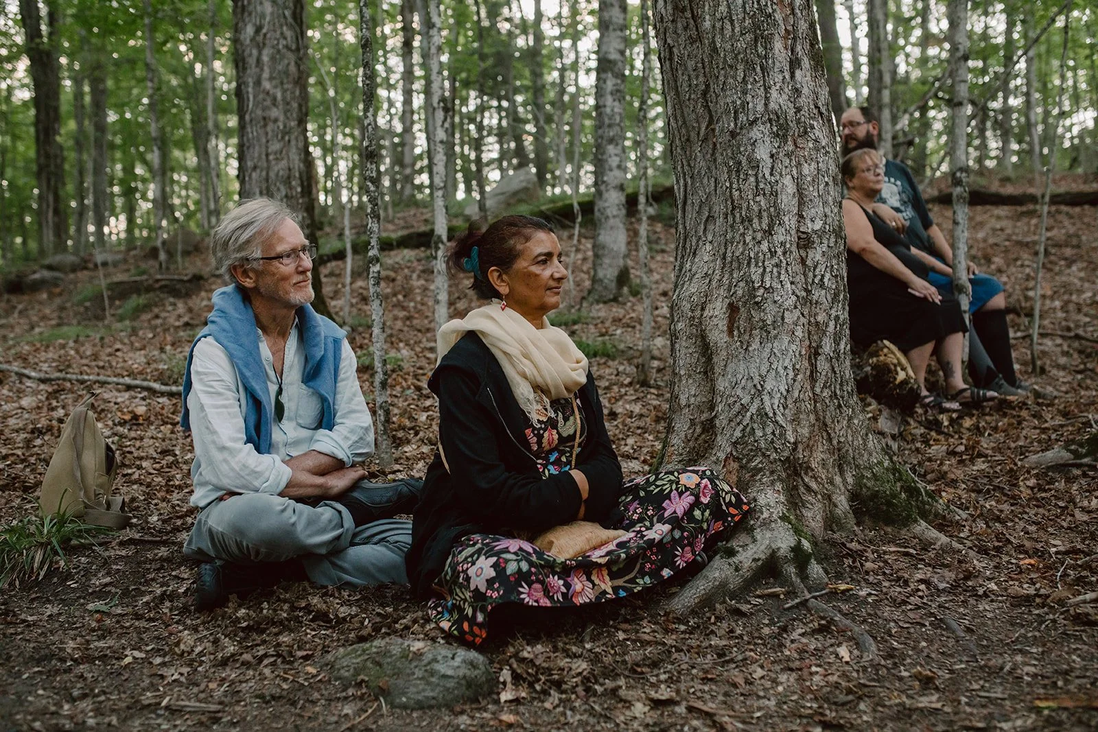 Four people sitting on the forest floor, listening attentively in a wooded area with tall trees and leaf-covered ground.