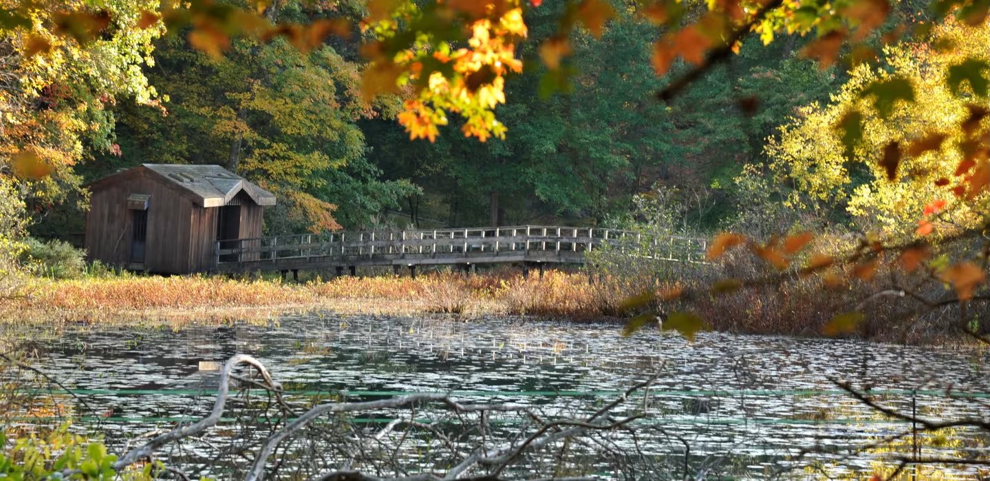 Lower Hudson Valley Bioregional Confluence: Bioregional Kinship