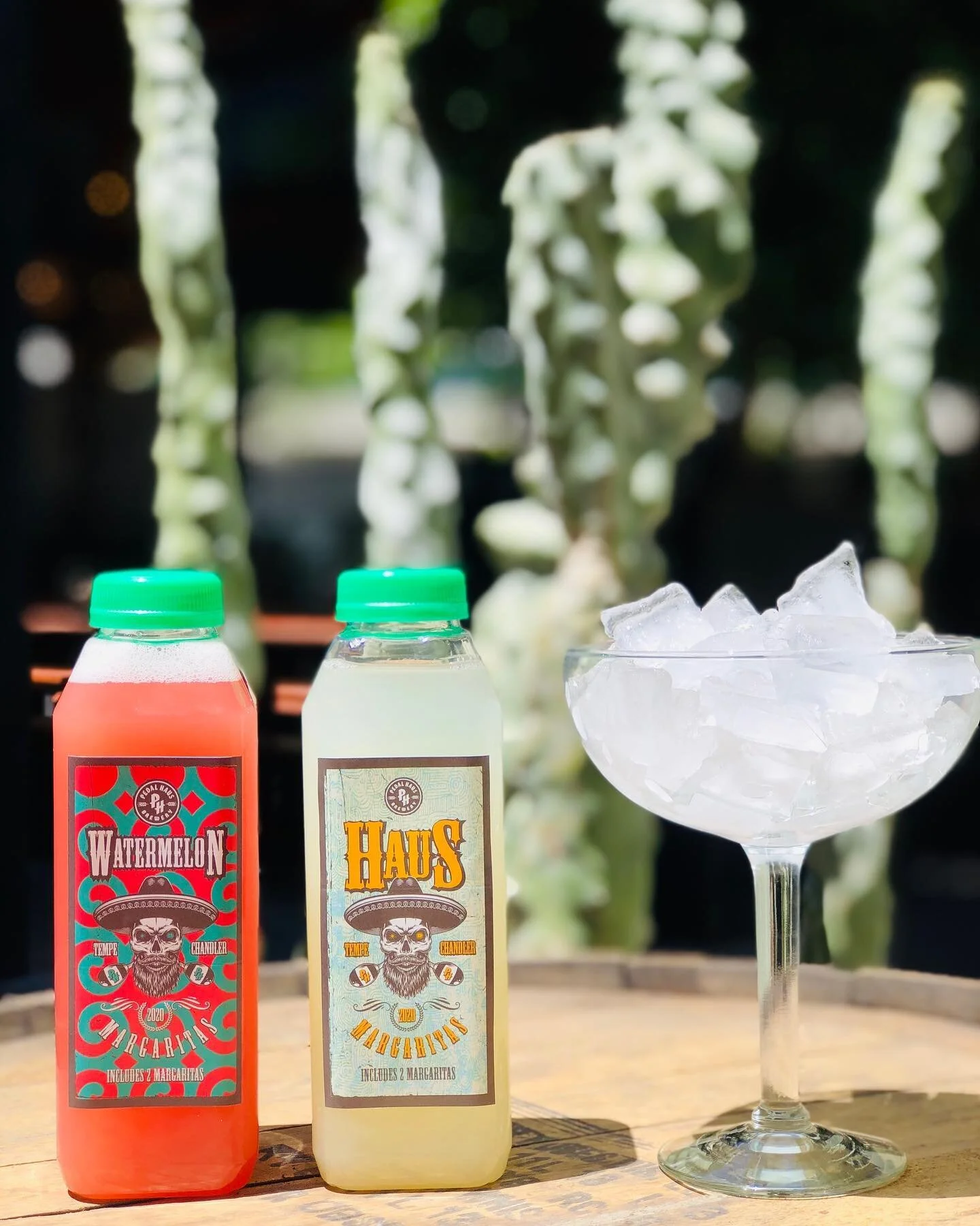 PEDAL HAUS MARGS.jpg