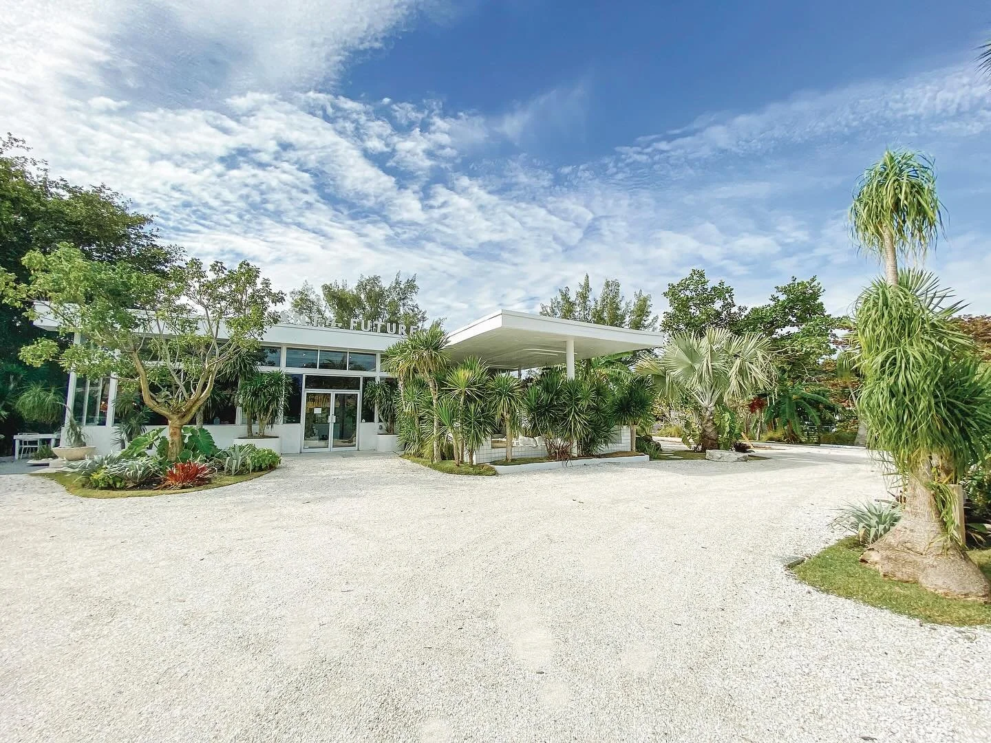 Supporting small, grassroots businesses is a big deal for us at Metro 1 &mdash; and it&rsquo;s at the heart of what we do. When @plantthefuture was ready to grow beyond Wynwood in 2018, Metro 1 helped them relocate and plant roots in Little River as 