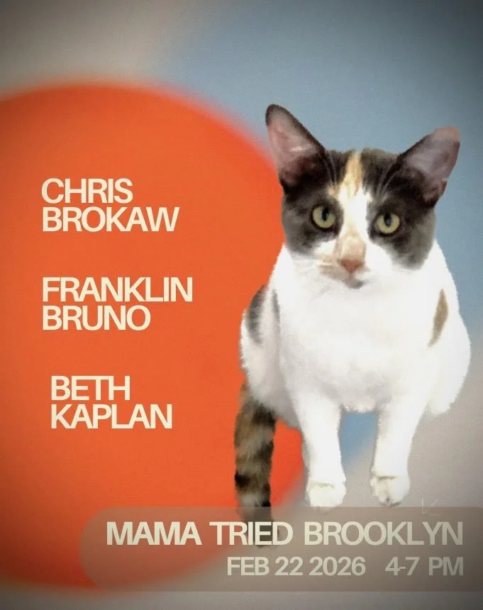 Beth Kaplan, Chris Brokaw, Franklin Bruno