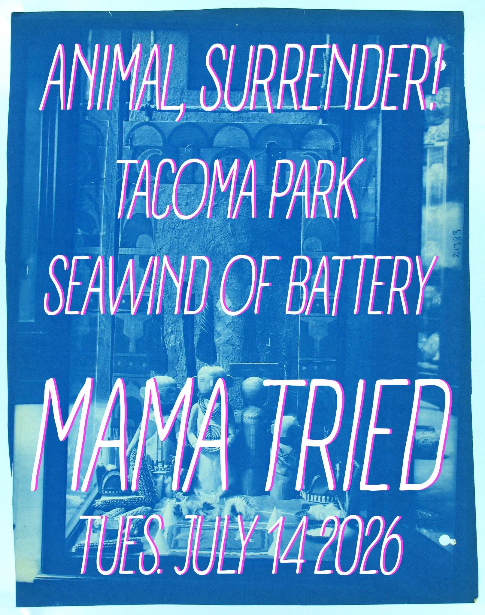 Animal Surrender, Tacoma Park, Seawind of Battery