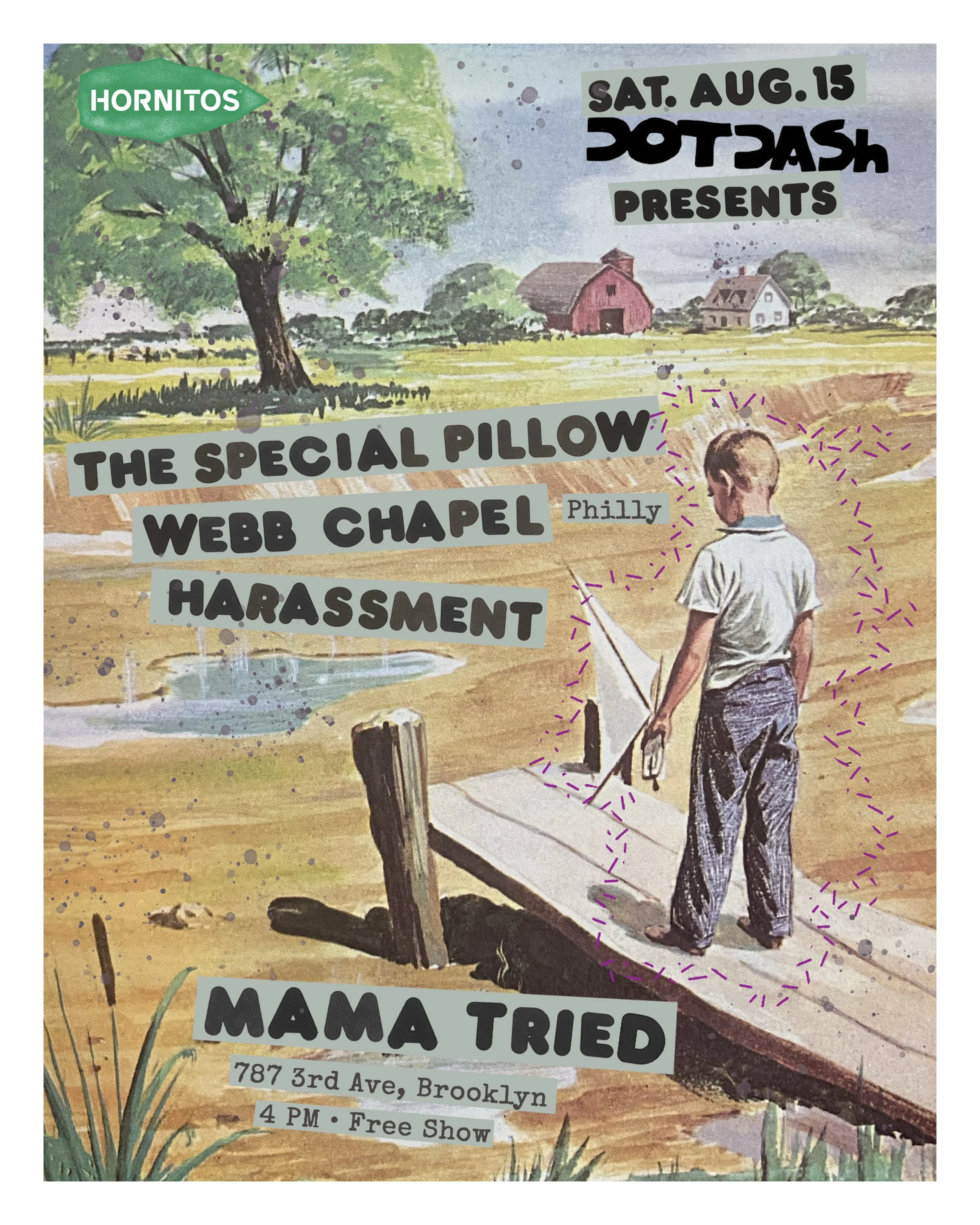 THE SPECIAL PILLOW, WEBB CHAPEL, HARASSMENT