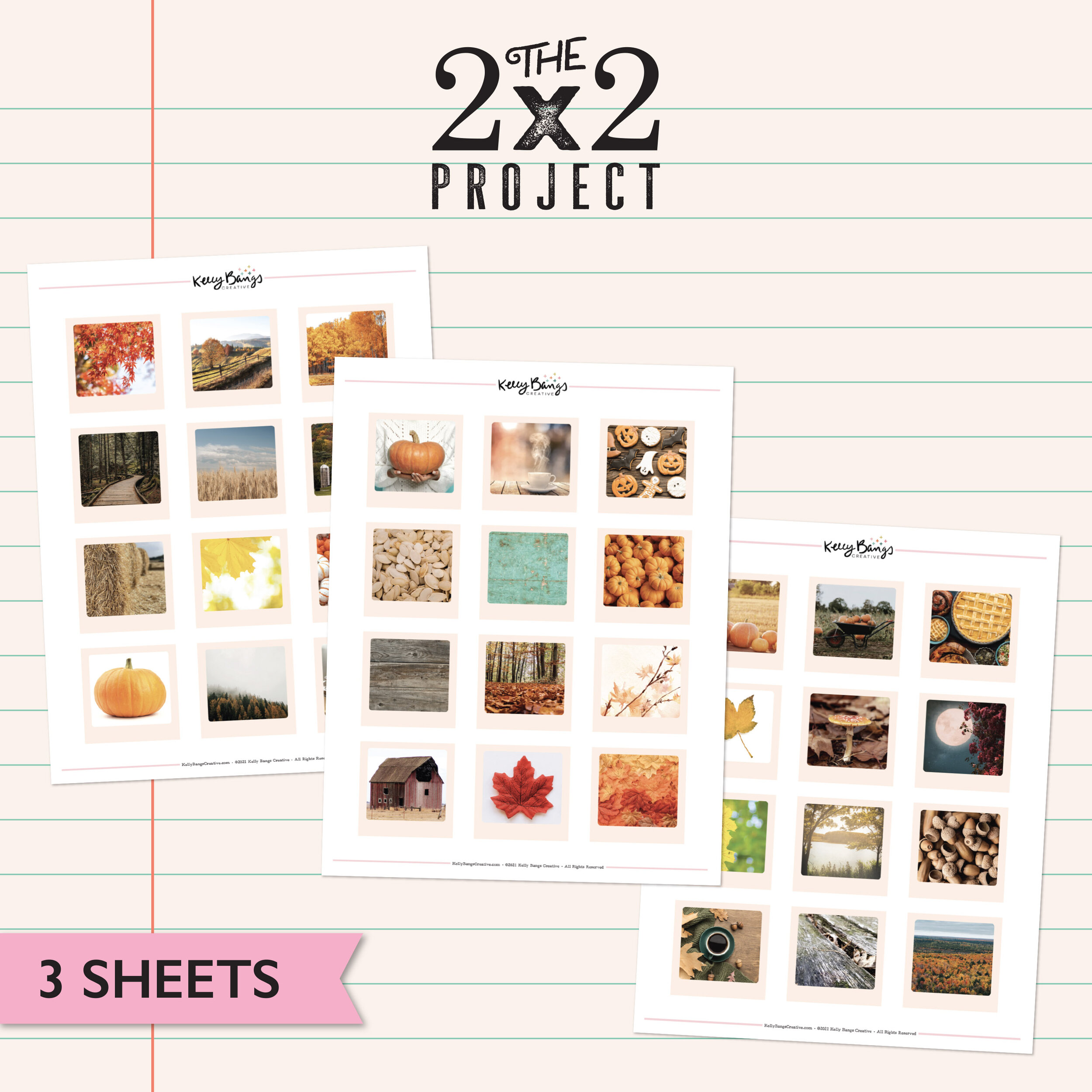skrå udredning minus Polaroid Vol.3 2x2 Project — Kelly Bangs Creative