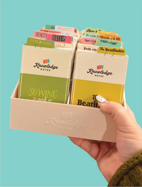 Knowledge Notes Display