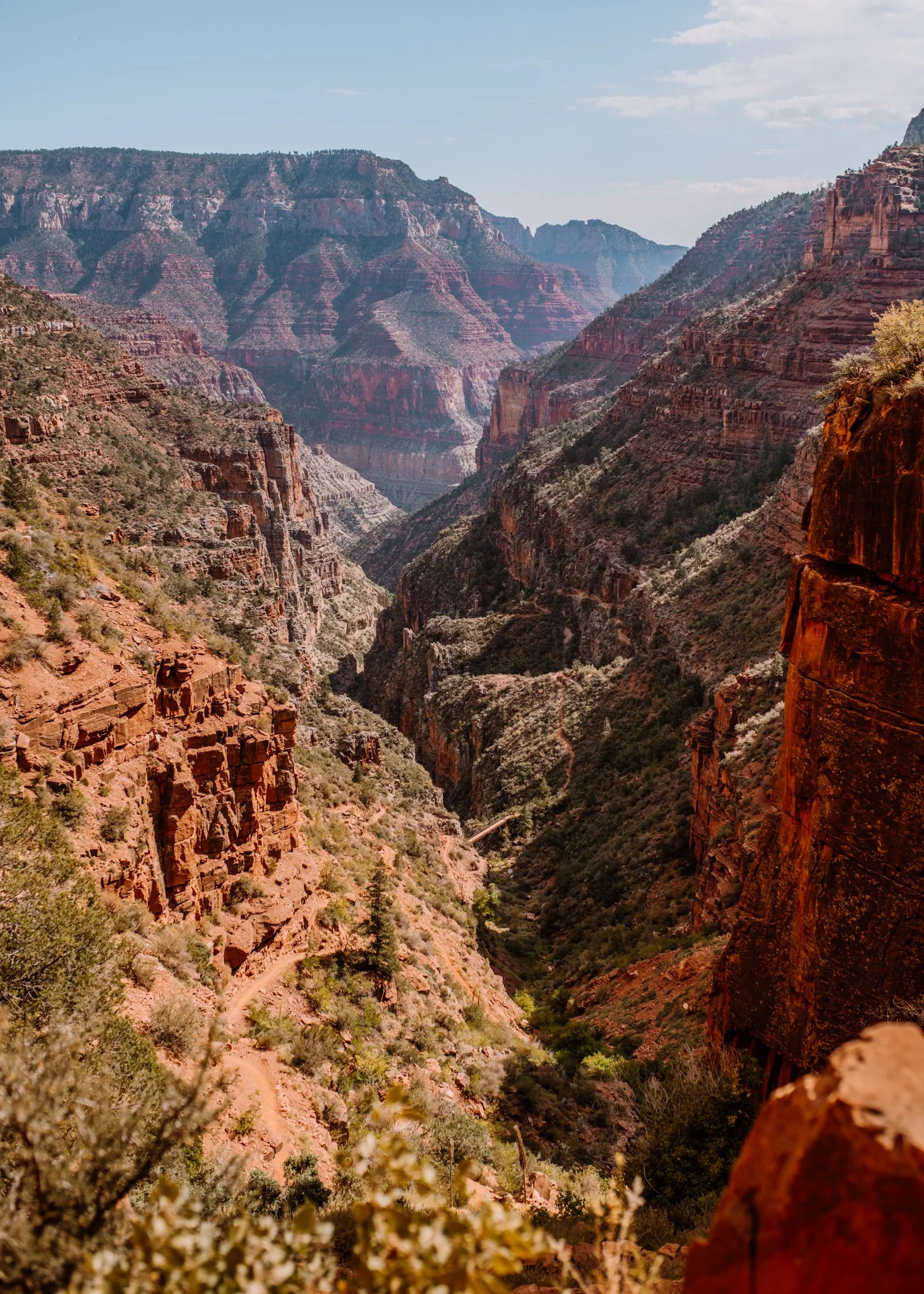 View of the Grand Canyon featuring layered red and brown rocks, steep cliffs, and green vegetation in the valley below under a partly cloudy sky.