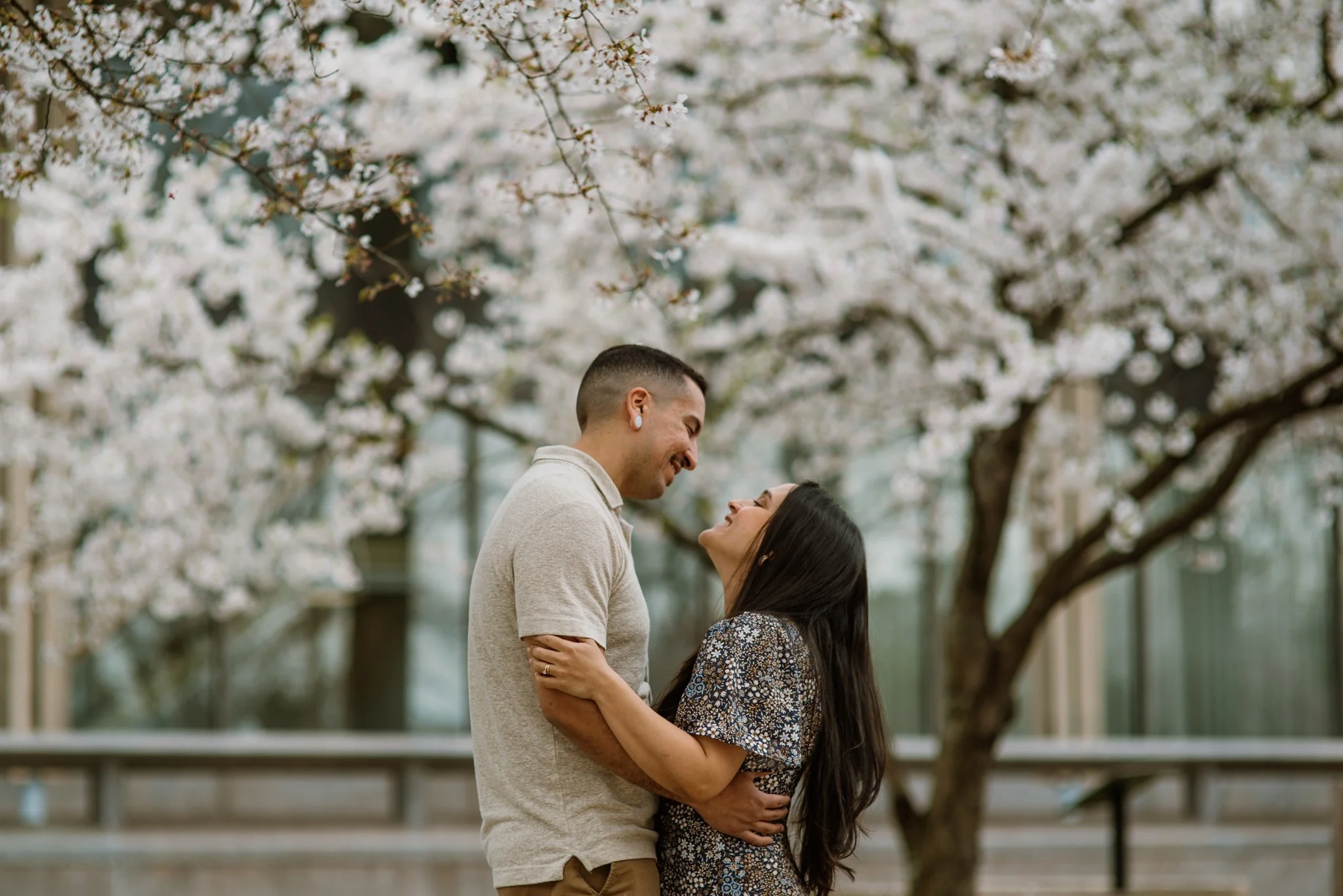 A couple embracing and smiling at each other outdoors under blooming cherry blossom trees.