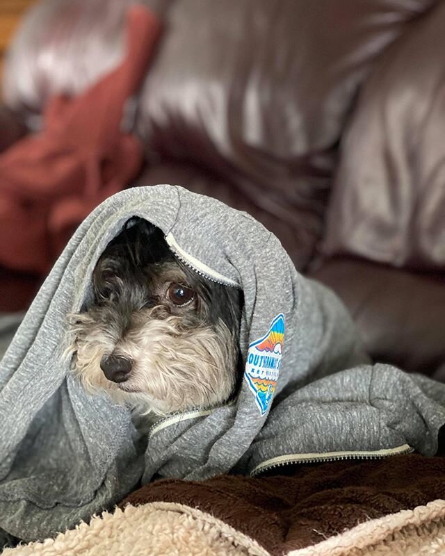 Man crush Monday with Max😍
He thinks we should make Somo Surf hoodies for pups, what do you think?🐶
Thanks to his mamma Rebecca Alexander for this super cute pic 📷