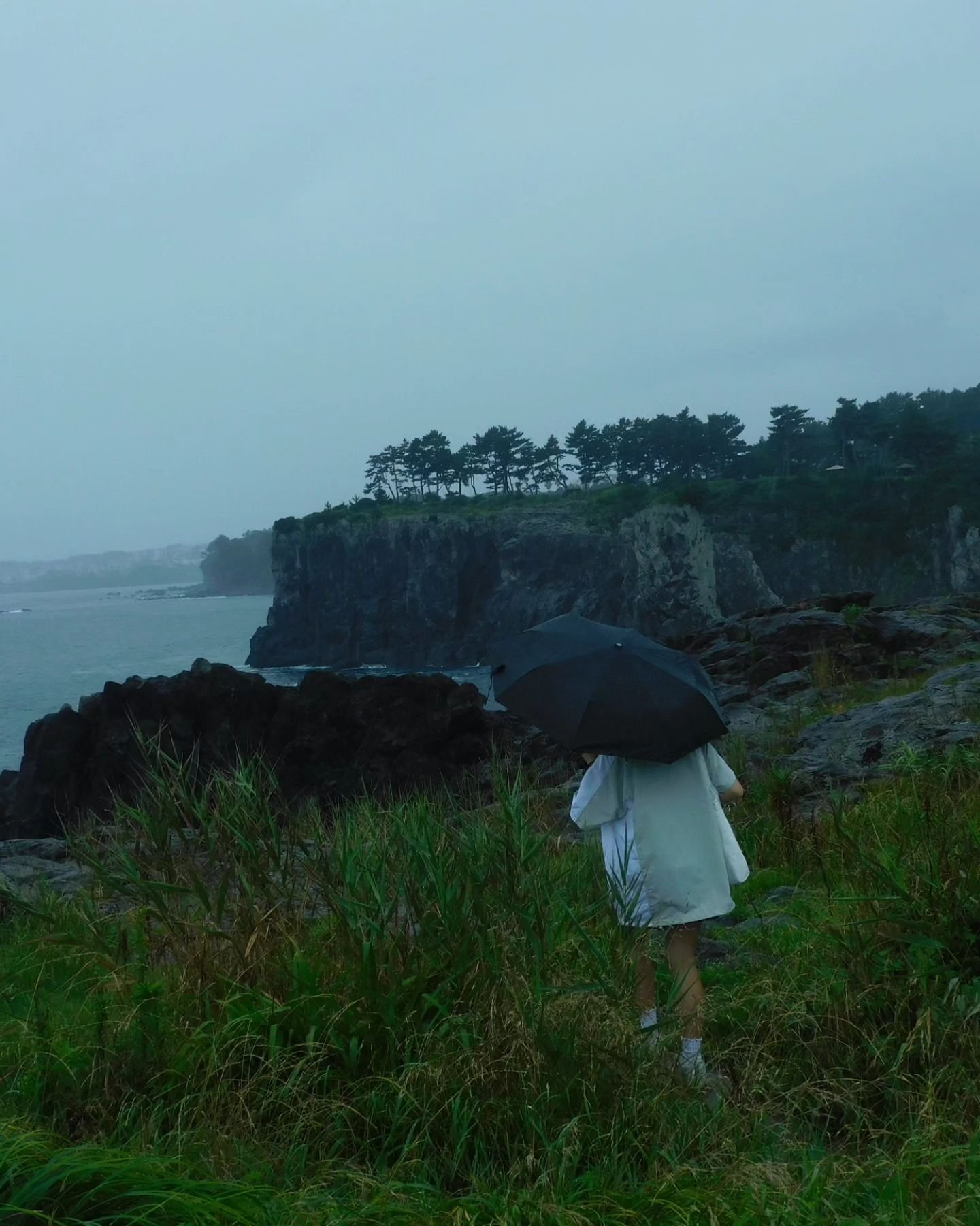 Jeju-do (제주도) is one of those places that reminds you of how stunning the world is 

[7.12.2024 부터 7.14.2024 까지]
