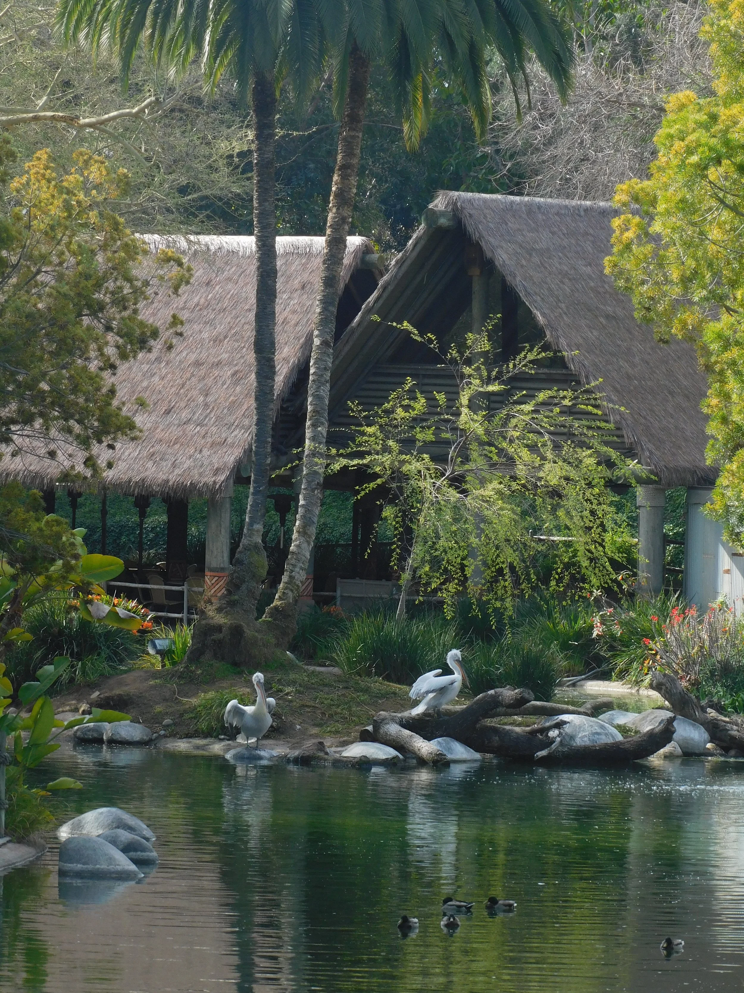 DSCN7102.JPG