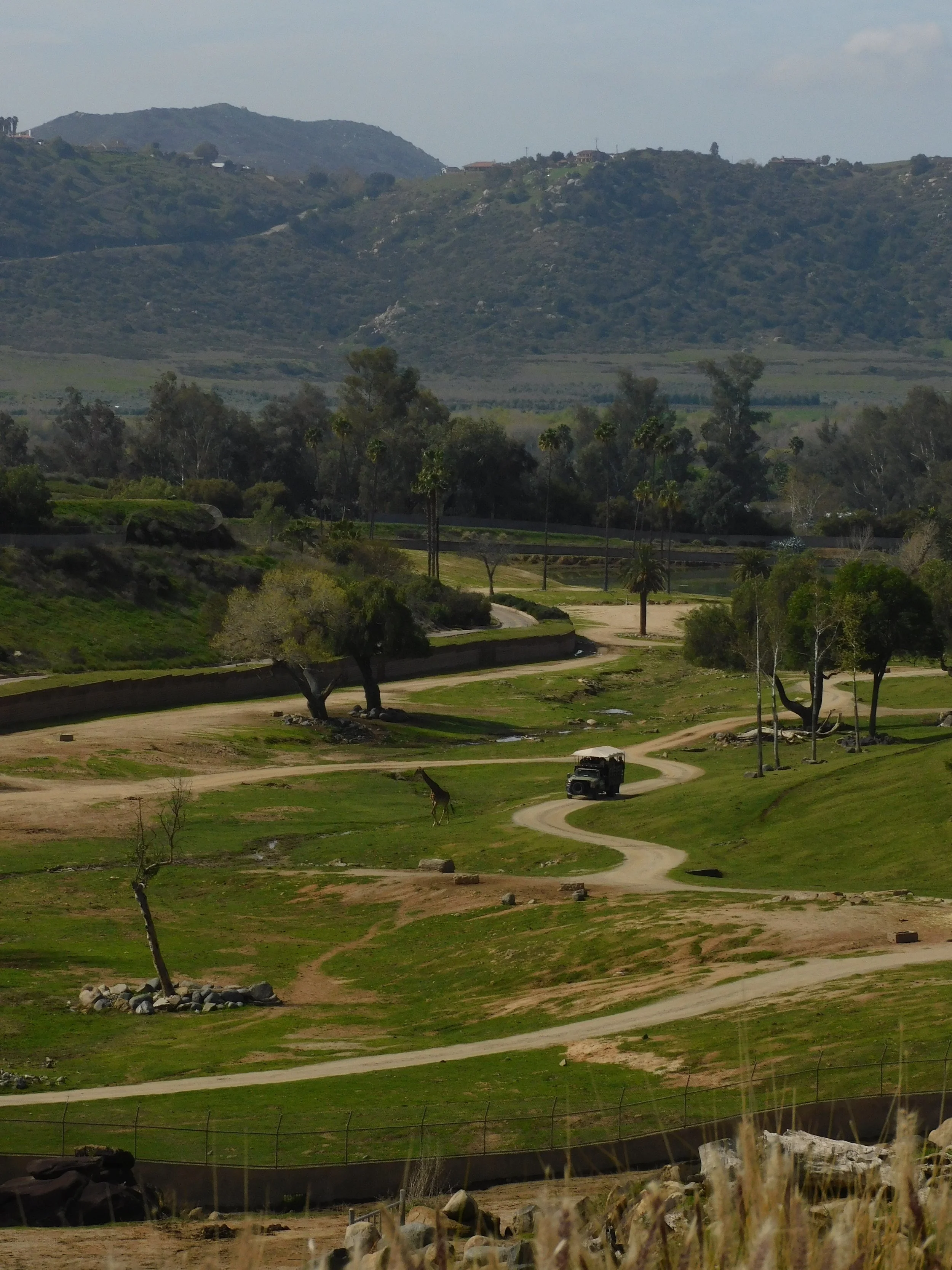 DSCN7175.JPG