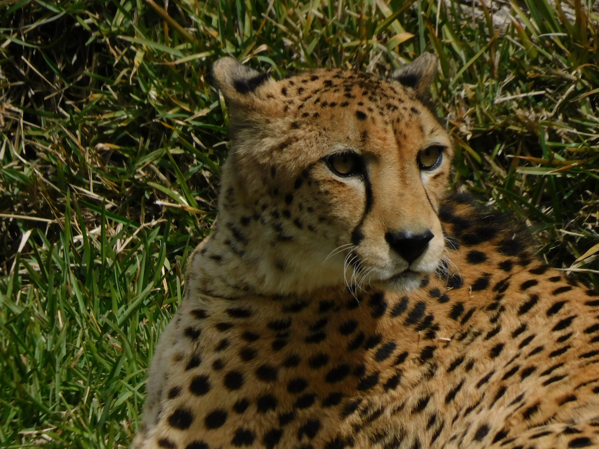 DSCN7209.JPG