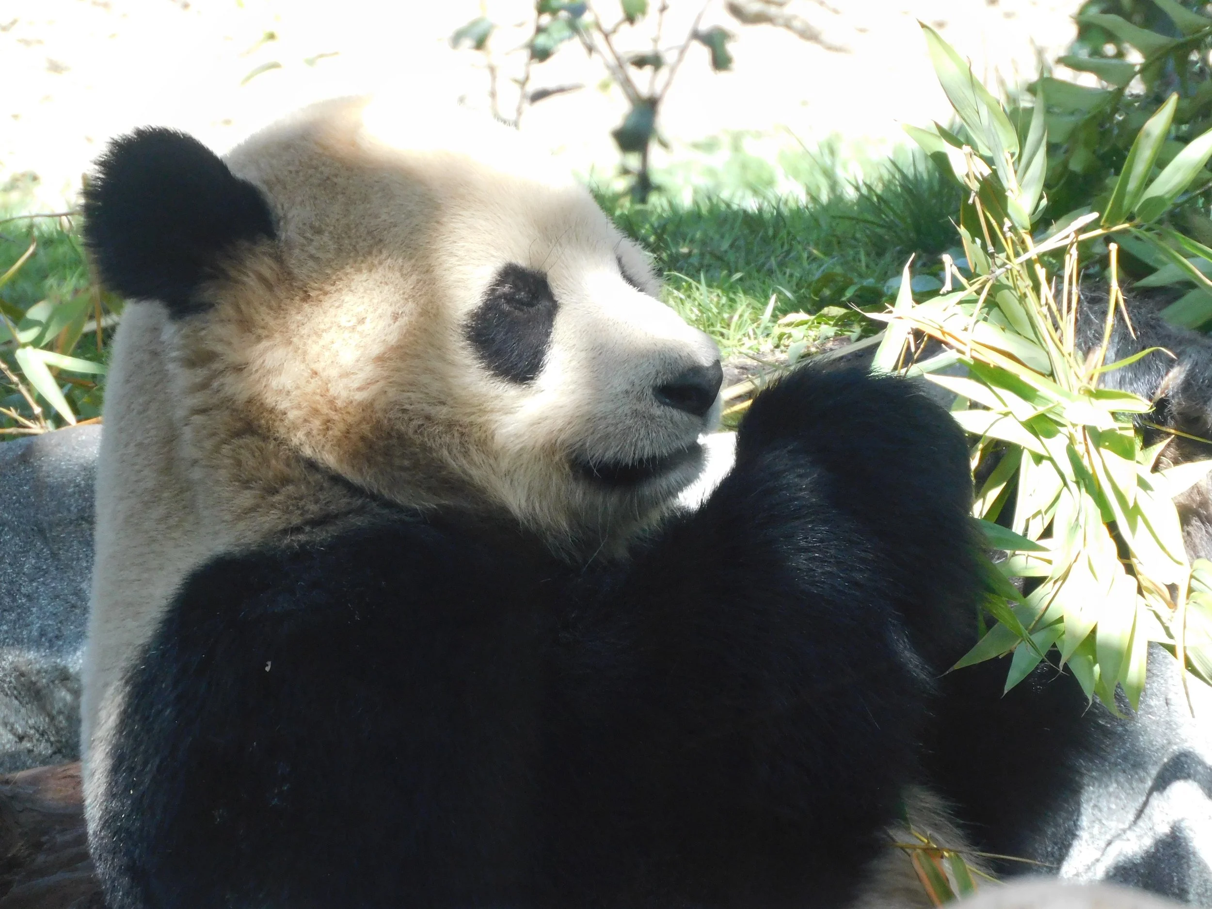 DSCN7292.JPG