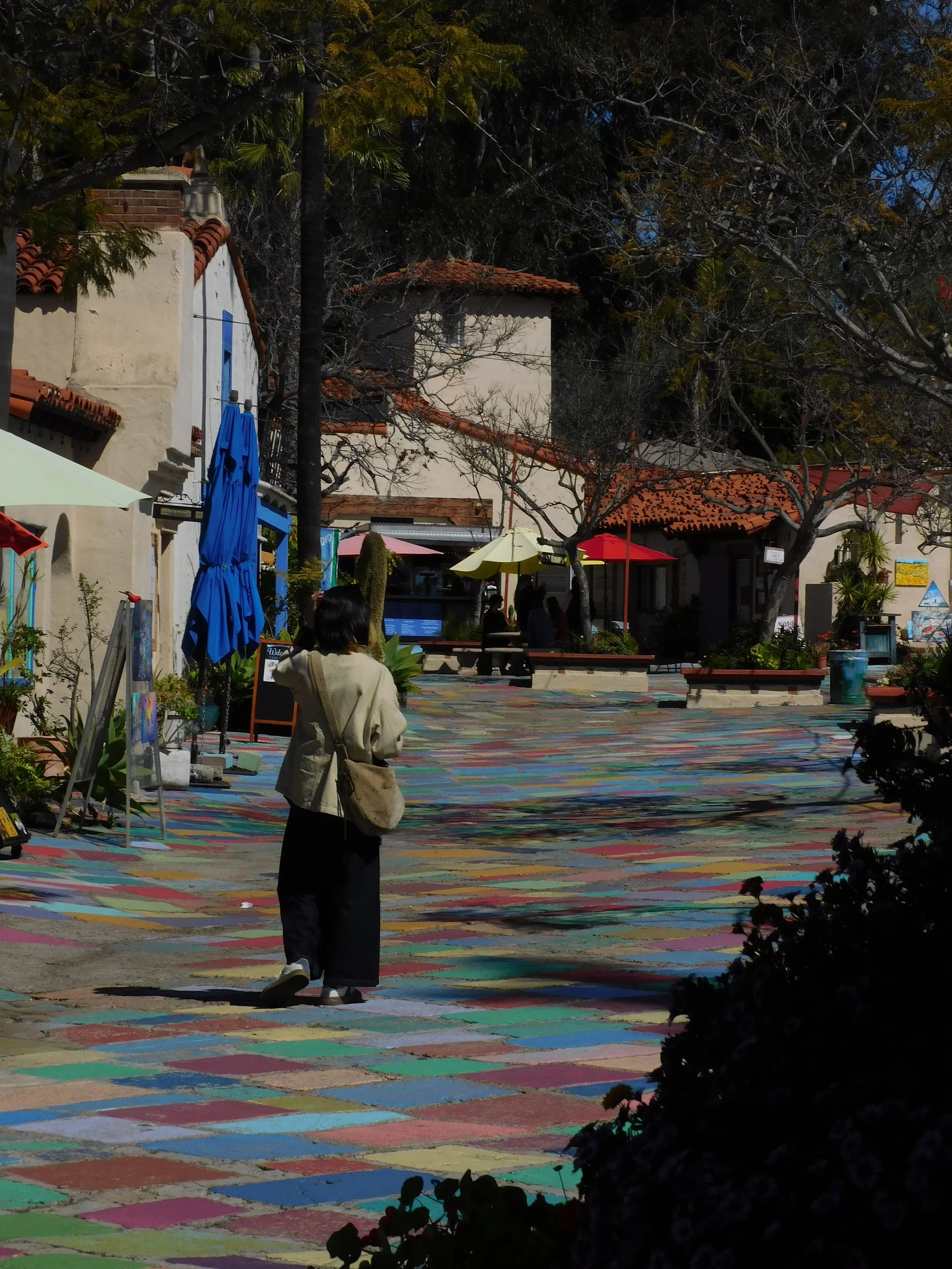 DSCN7388.JPG