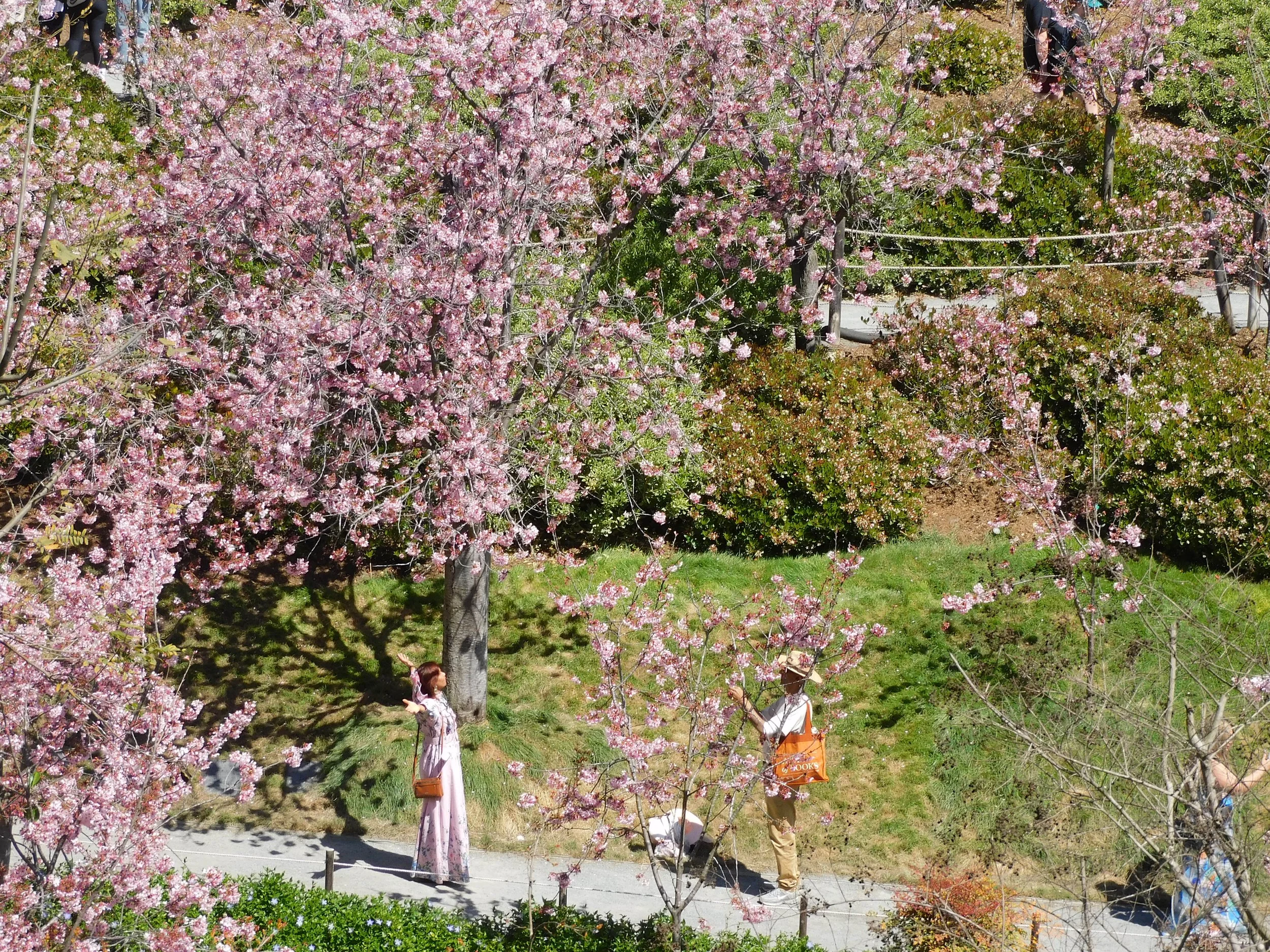 DSCN7464.JPG