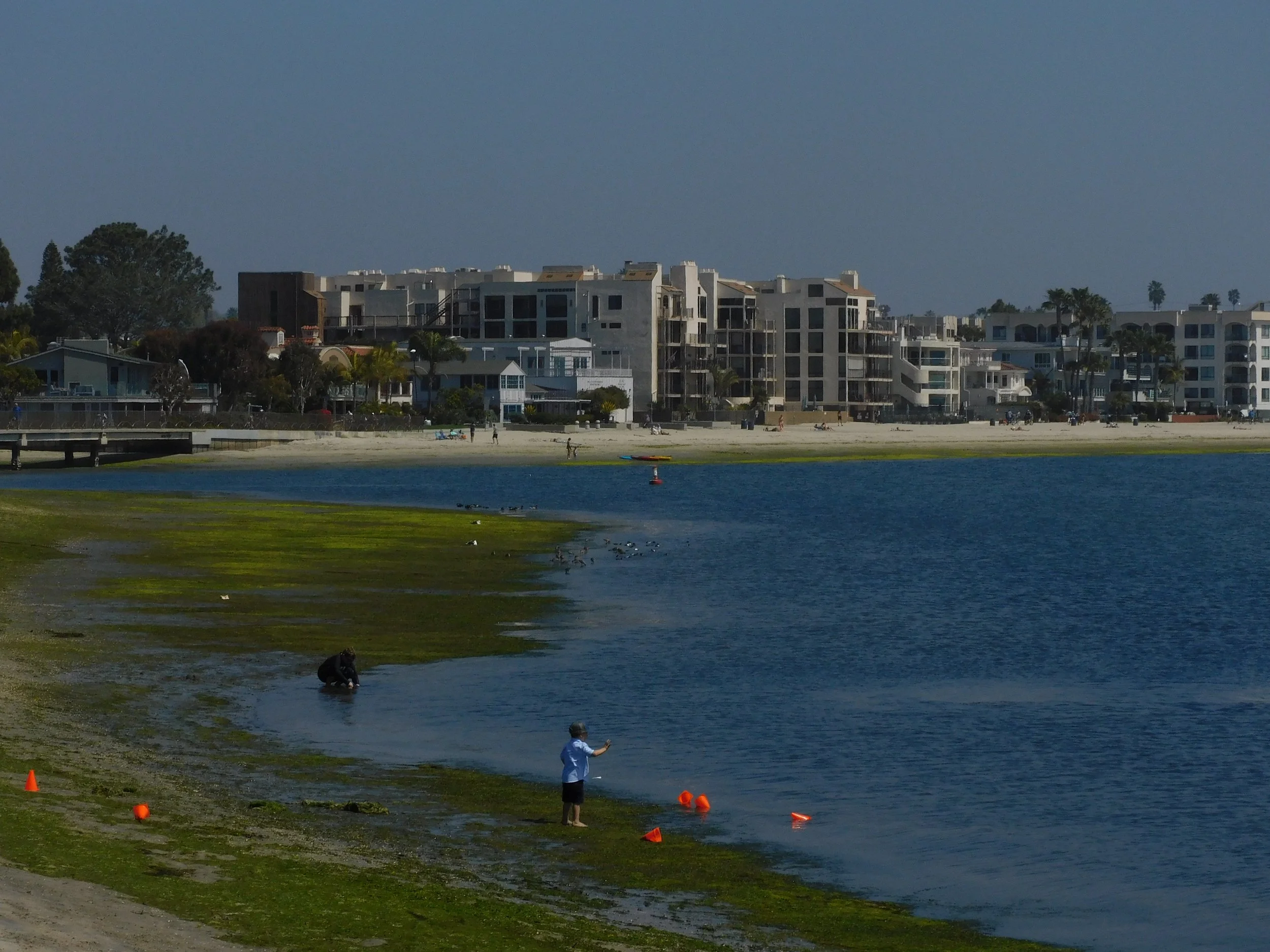 DSCN7781.JPG