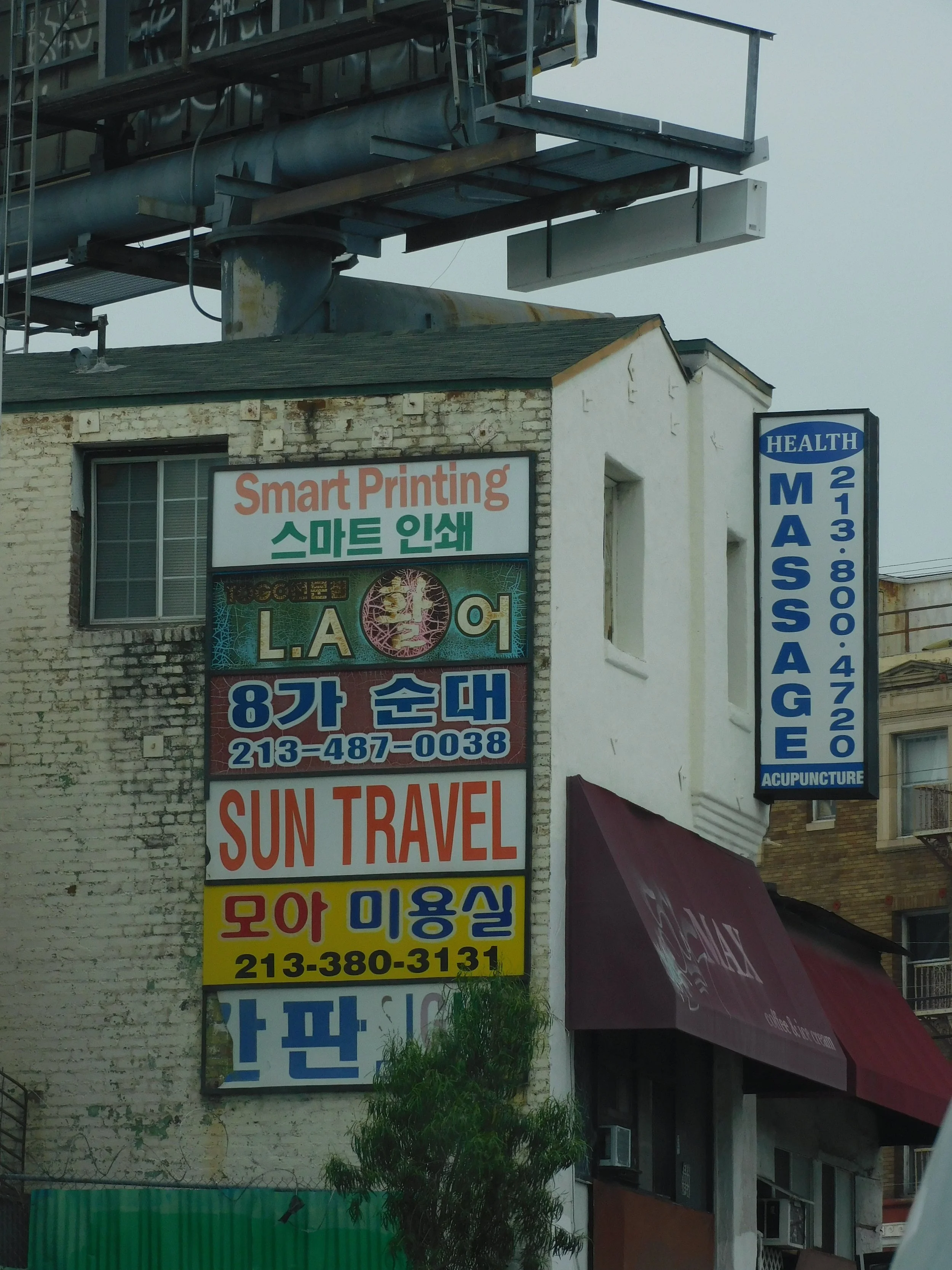 DSCN7831.JPG