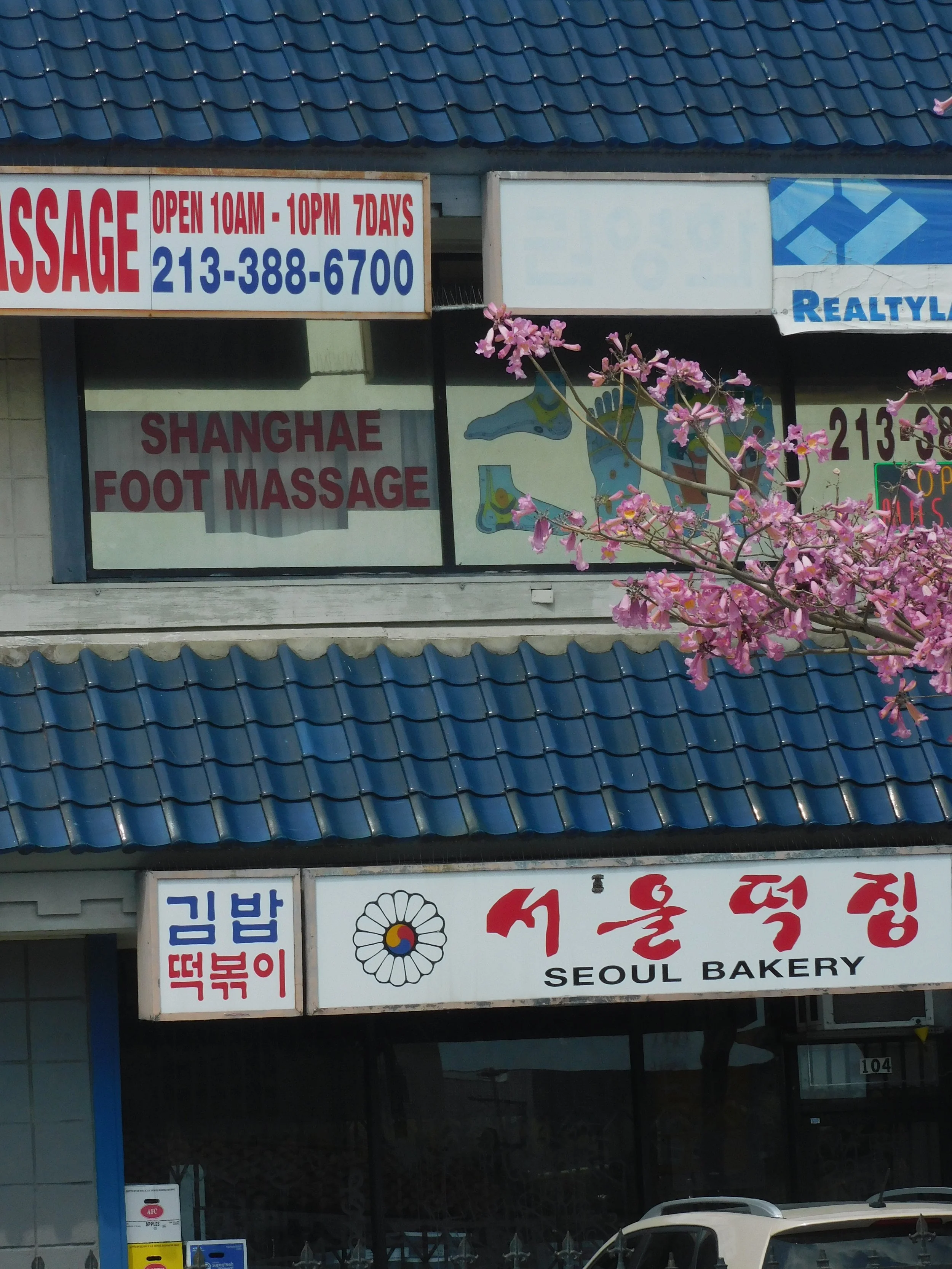 DSCN7862.JPG