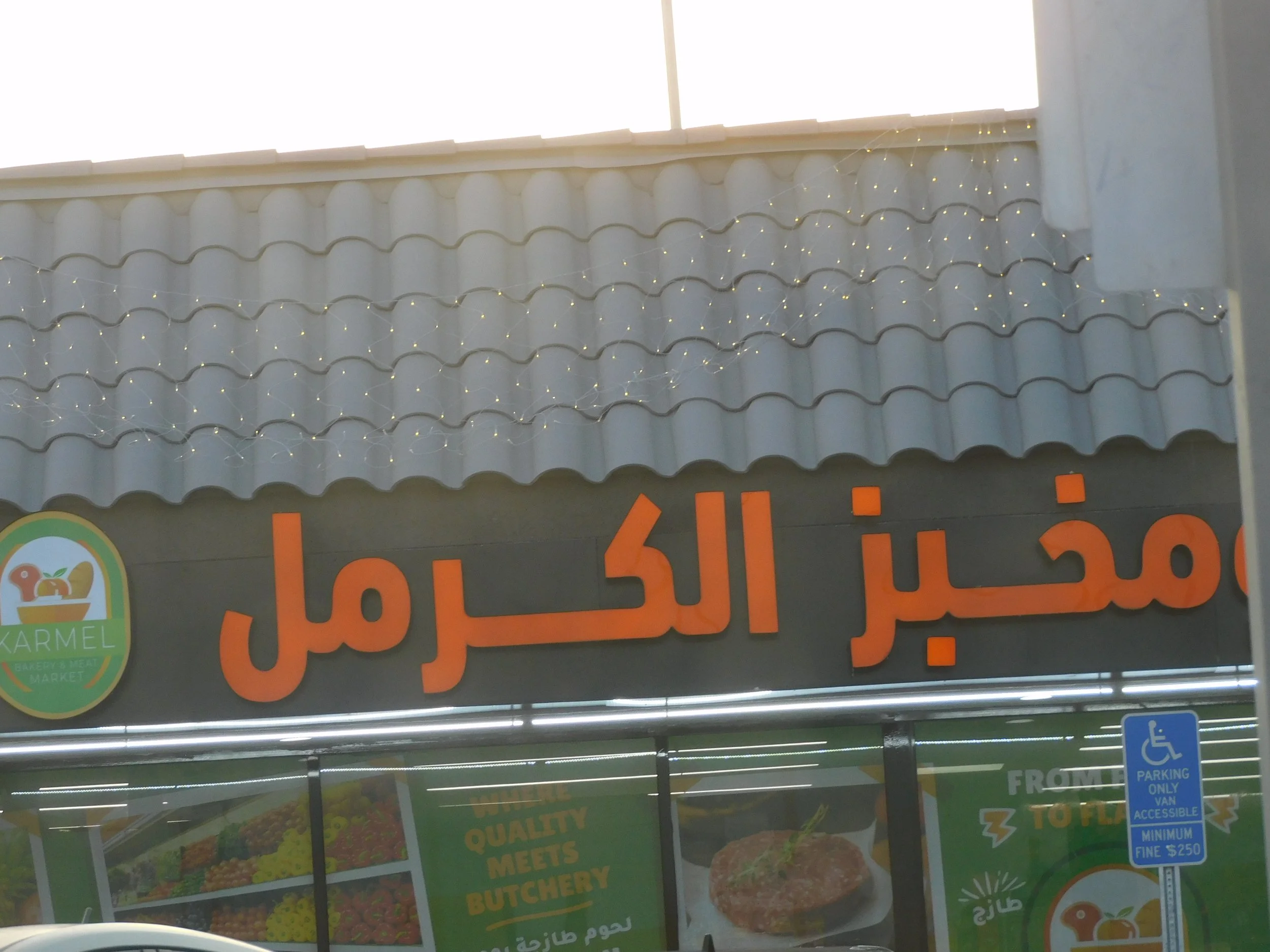 DSCN7923.JPG