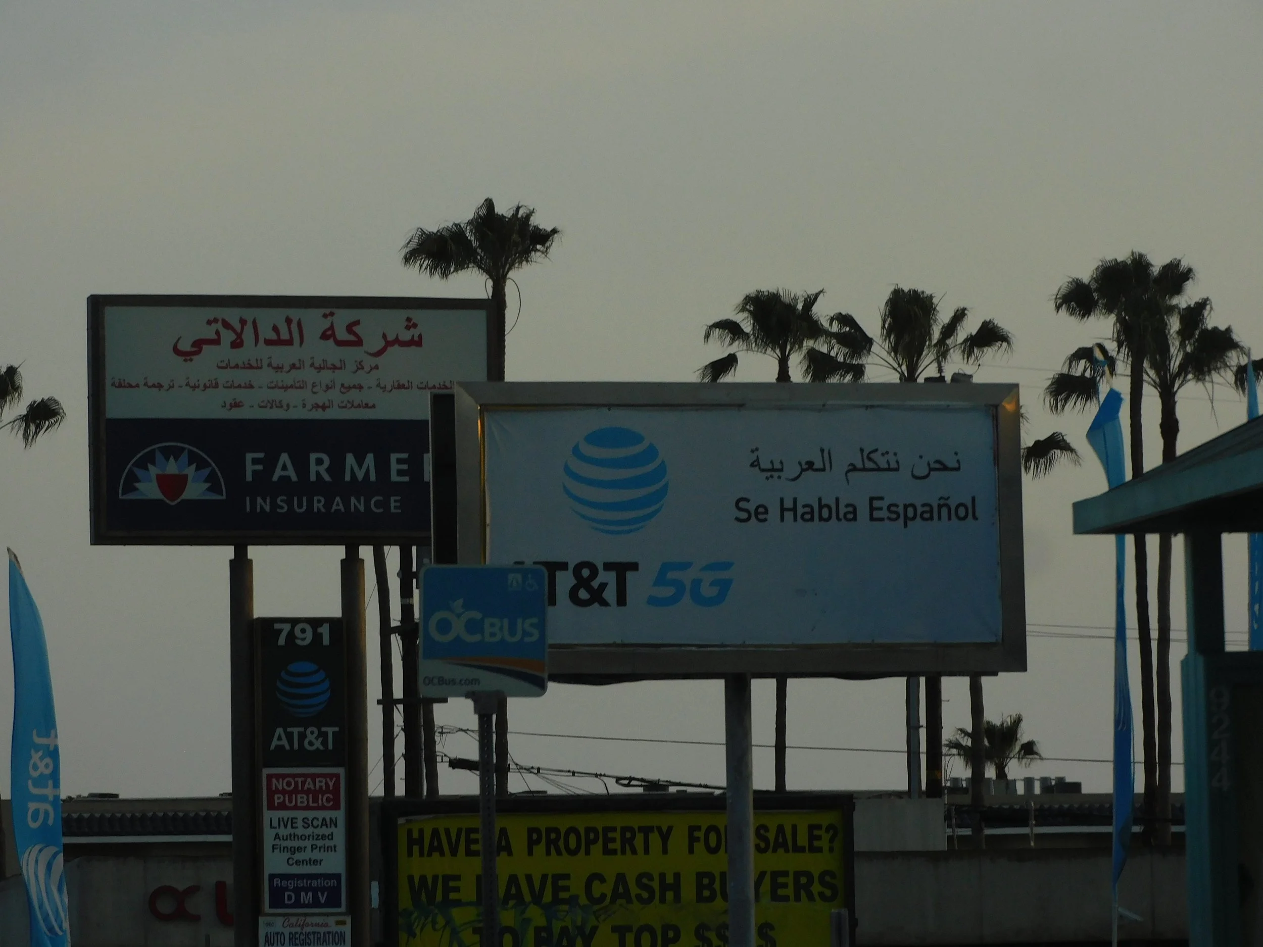 DSCN7930.JPG