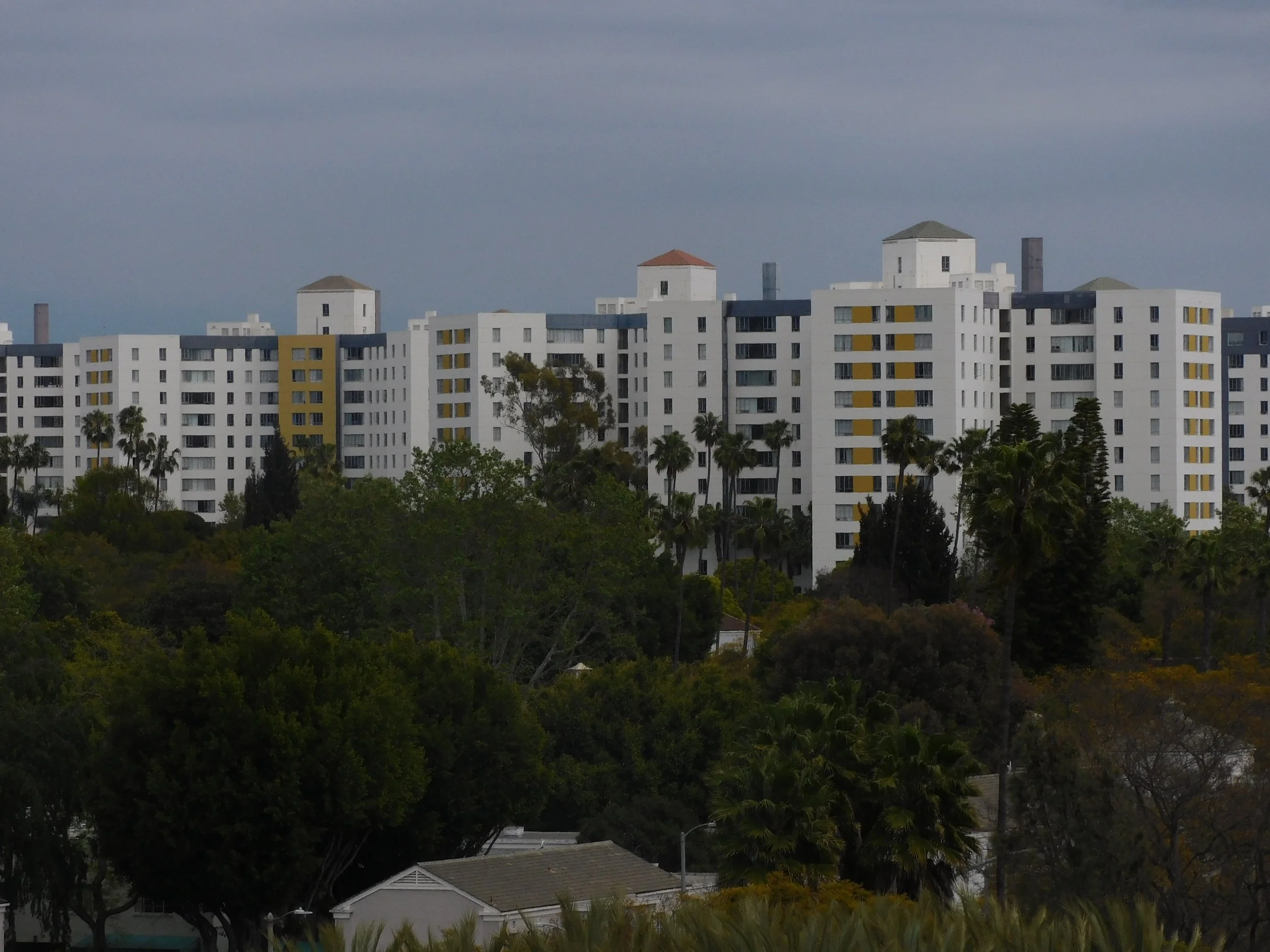 DSCN7963.JPG