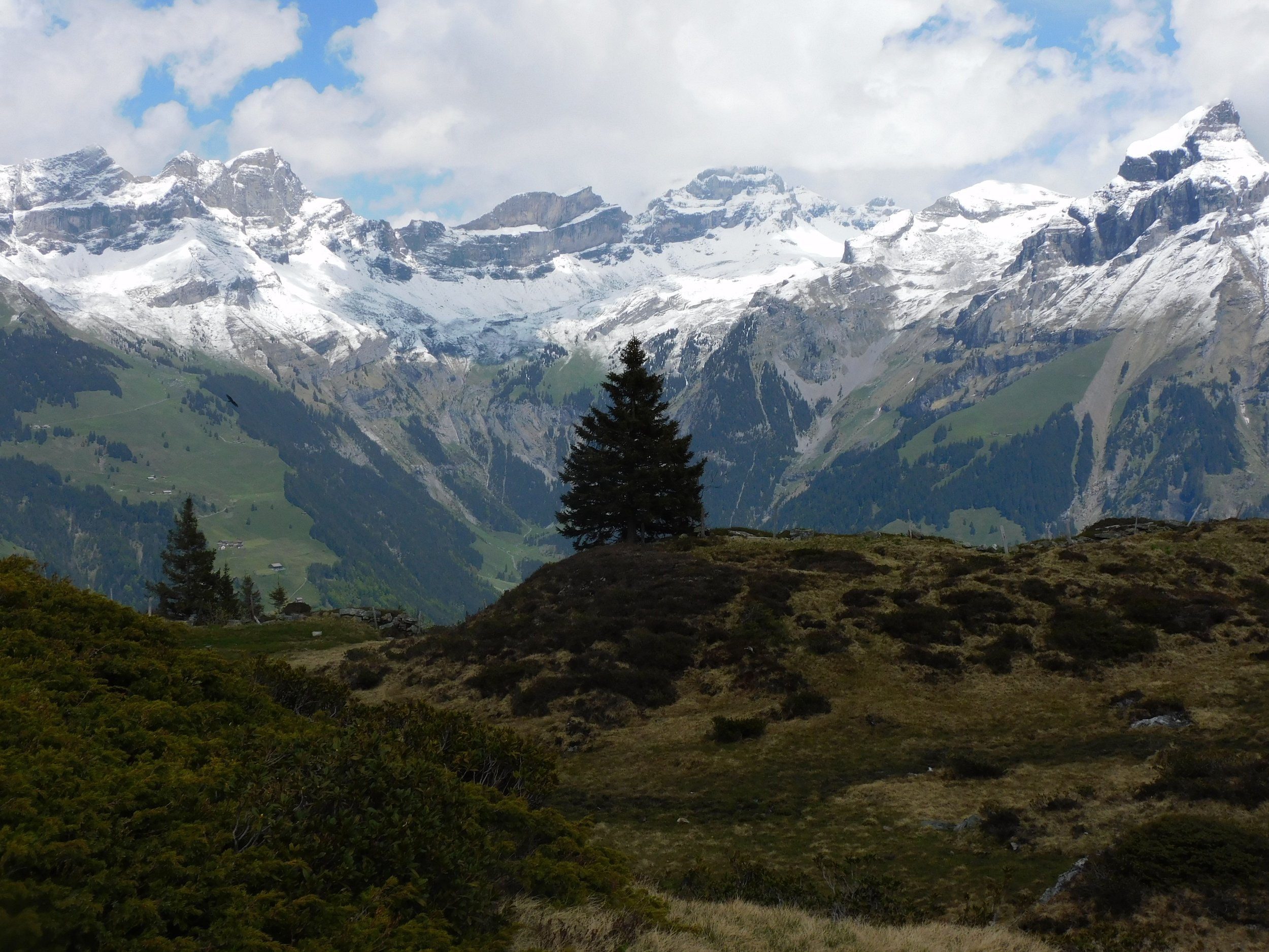 DSCN9659.JPG