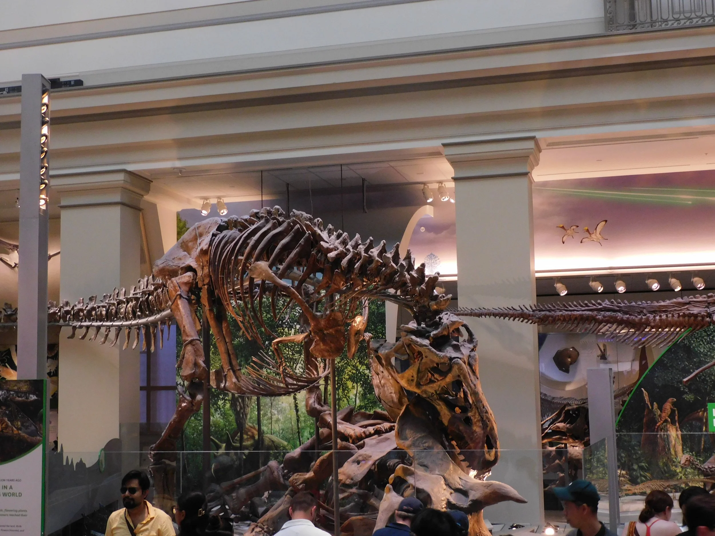 DSCN9928.JPG