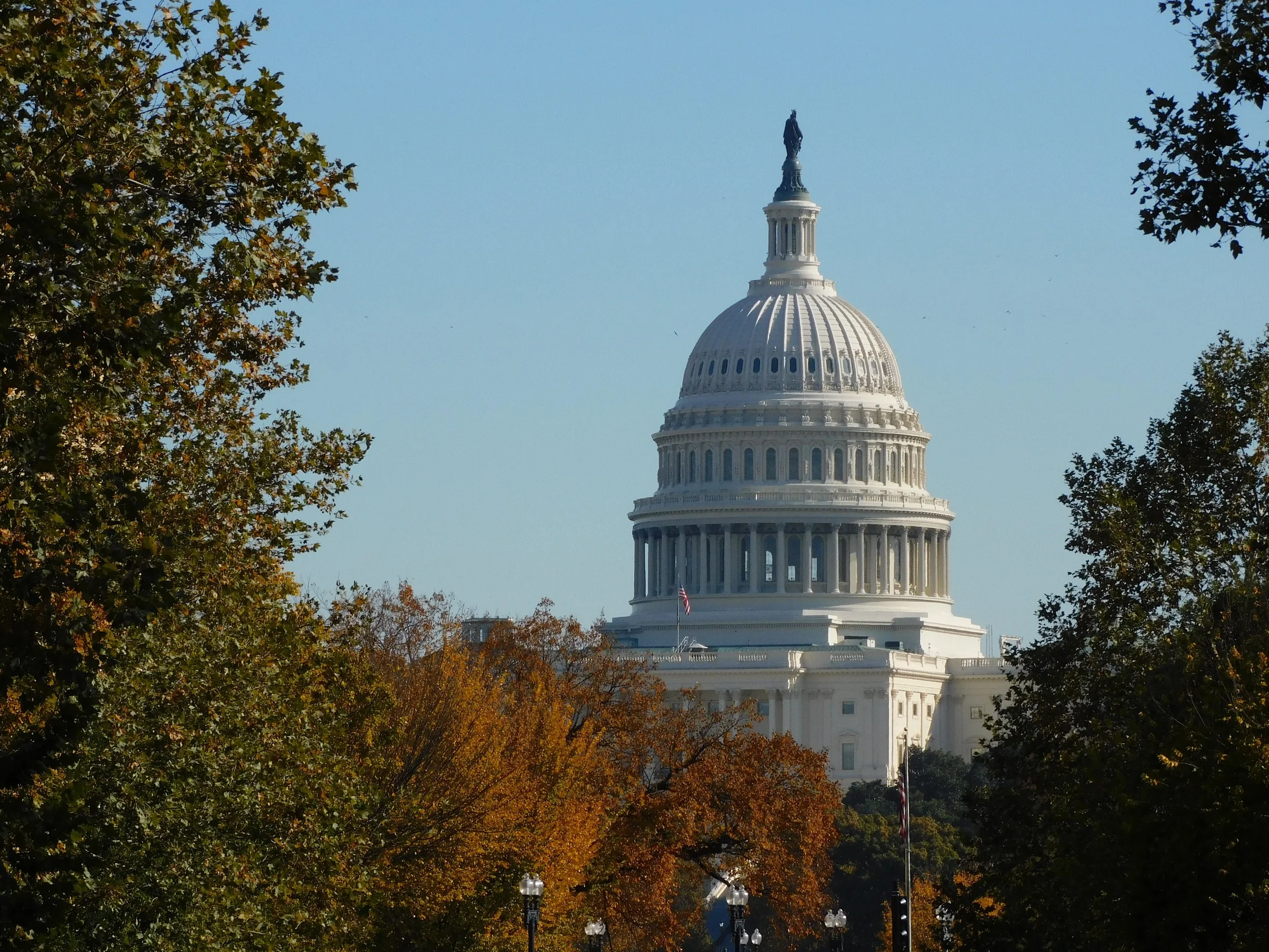 2 Days in Washington D.C. (November 2025)