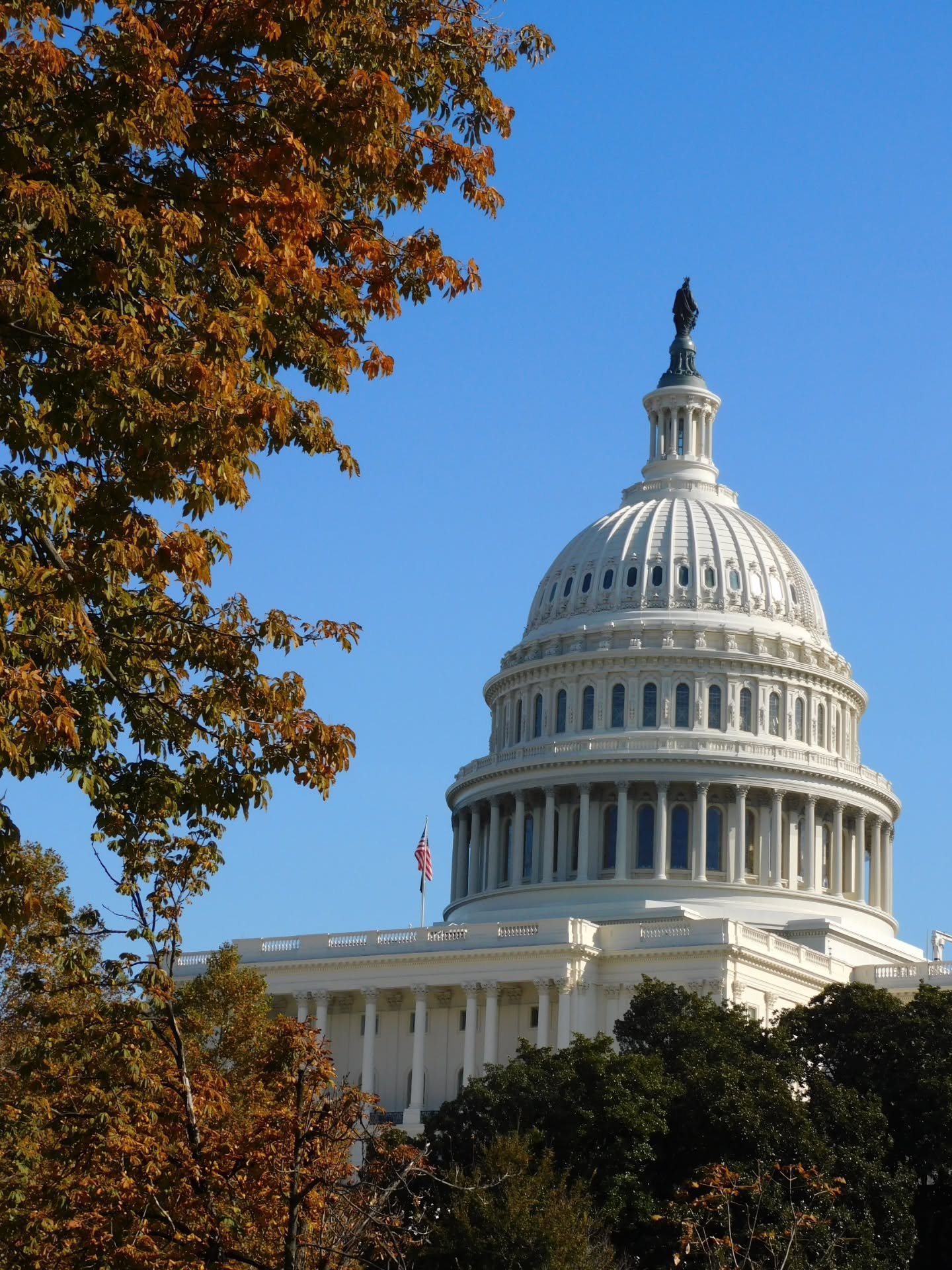 autumn in the capital