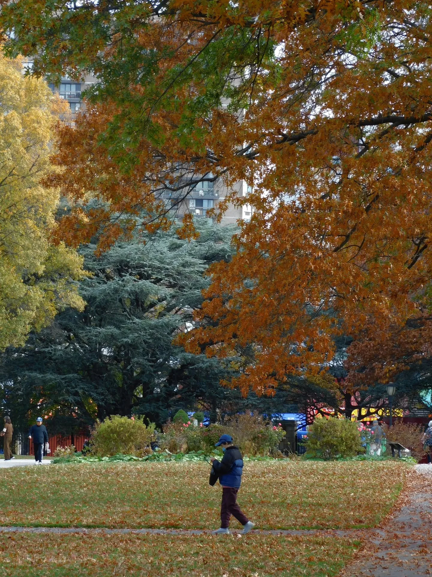 autumn in the queens botanical garden