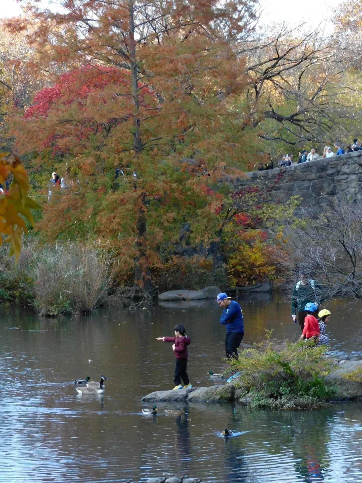 autumn in central park 🍂