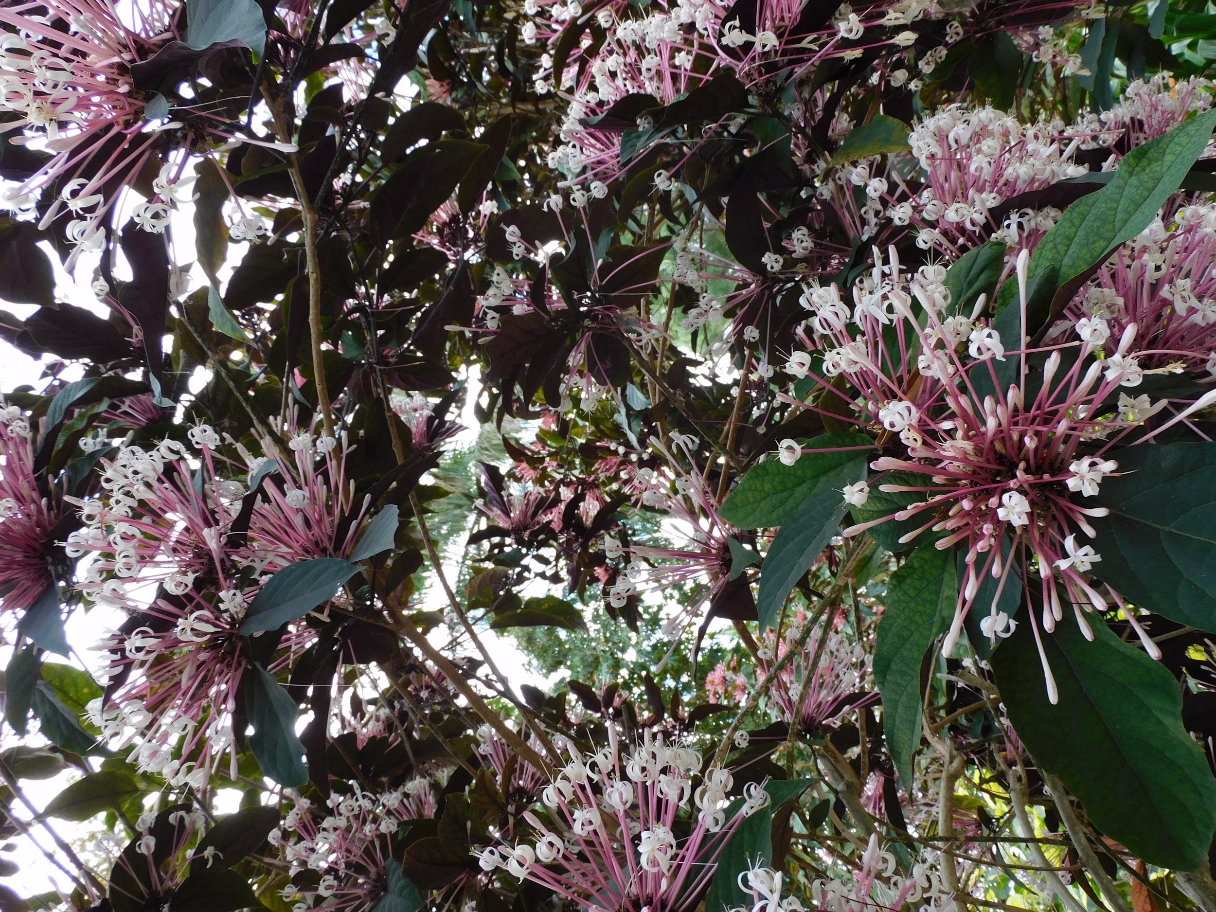 DSCN3914.JPG