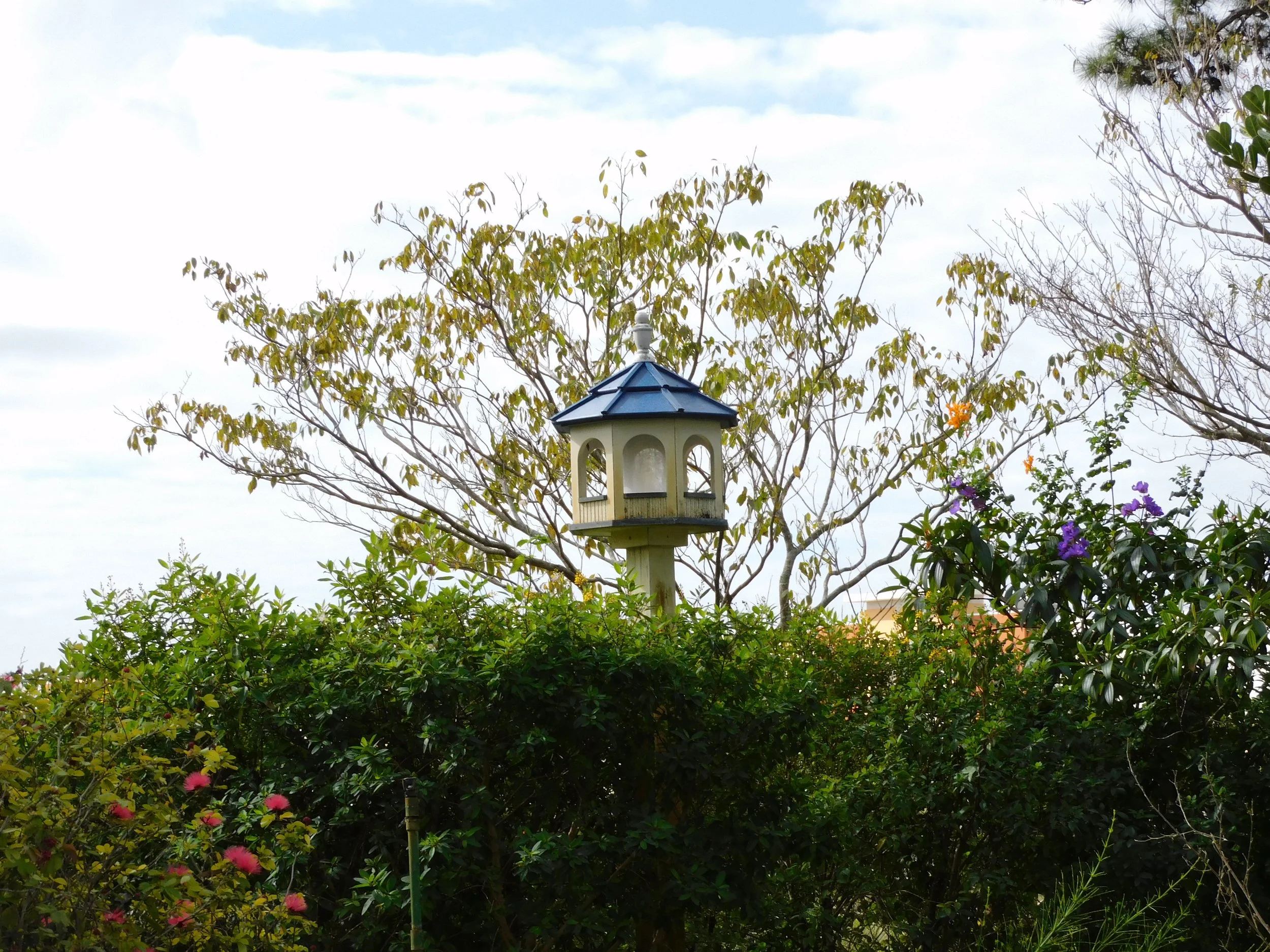 DSCN3985.JPG