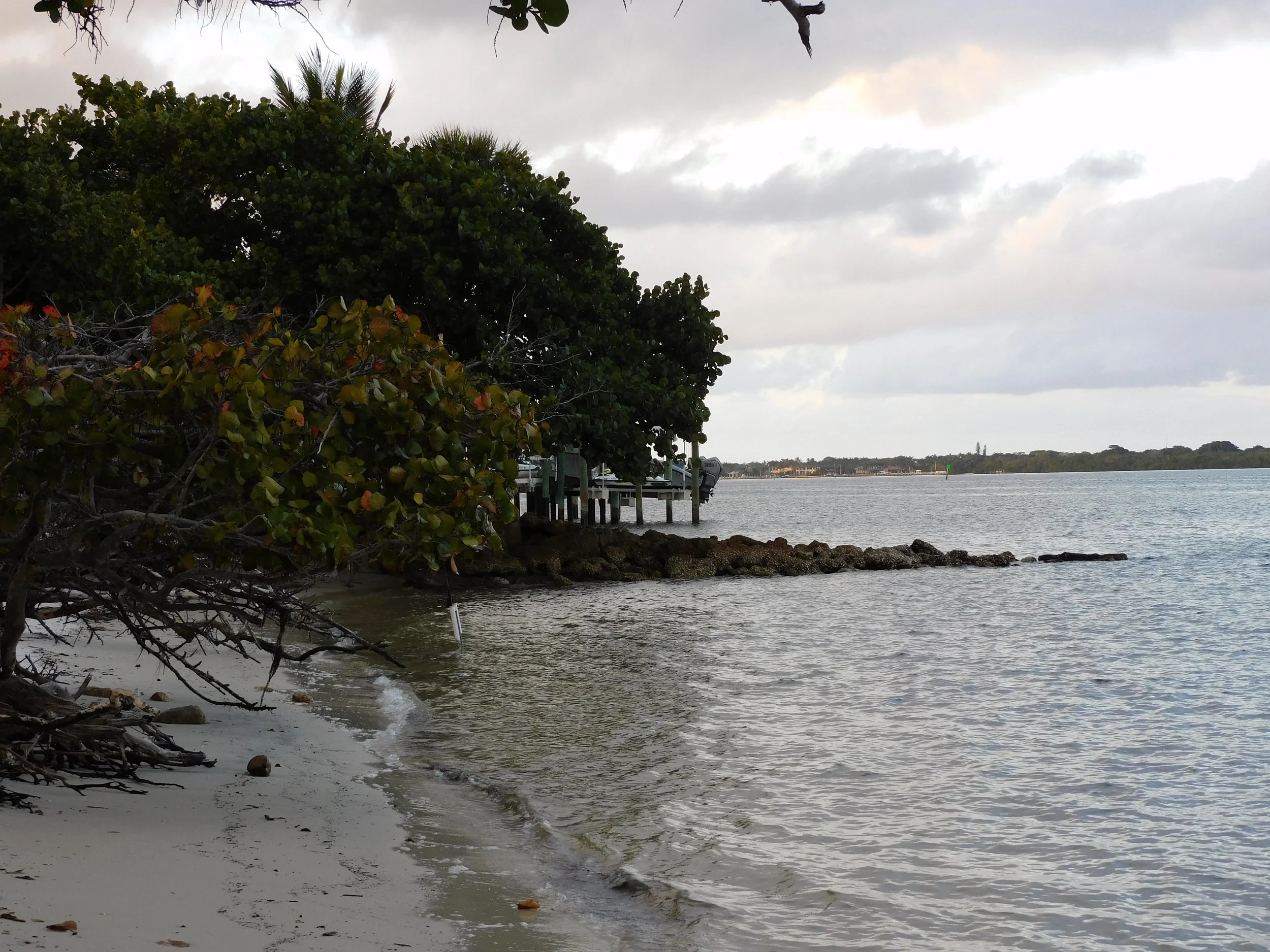 DSCN4190.JPG