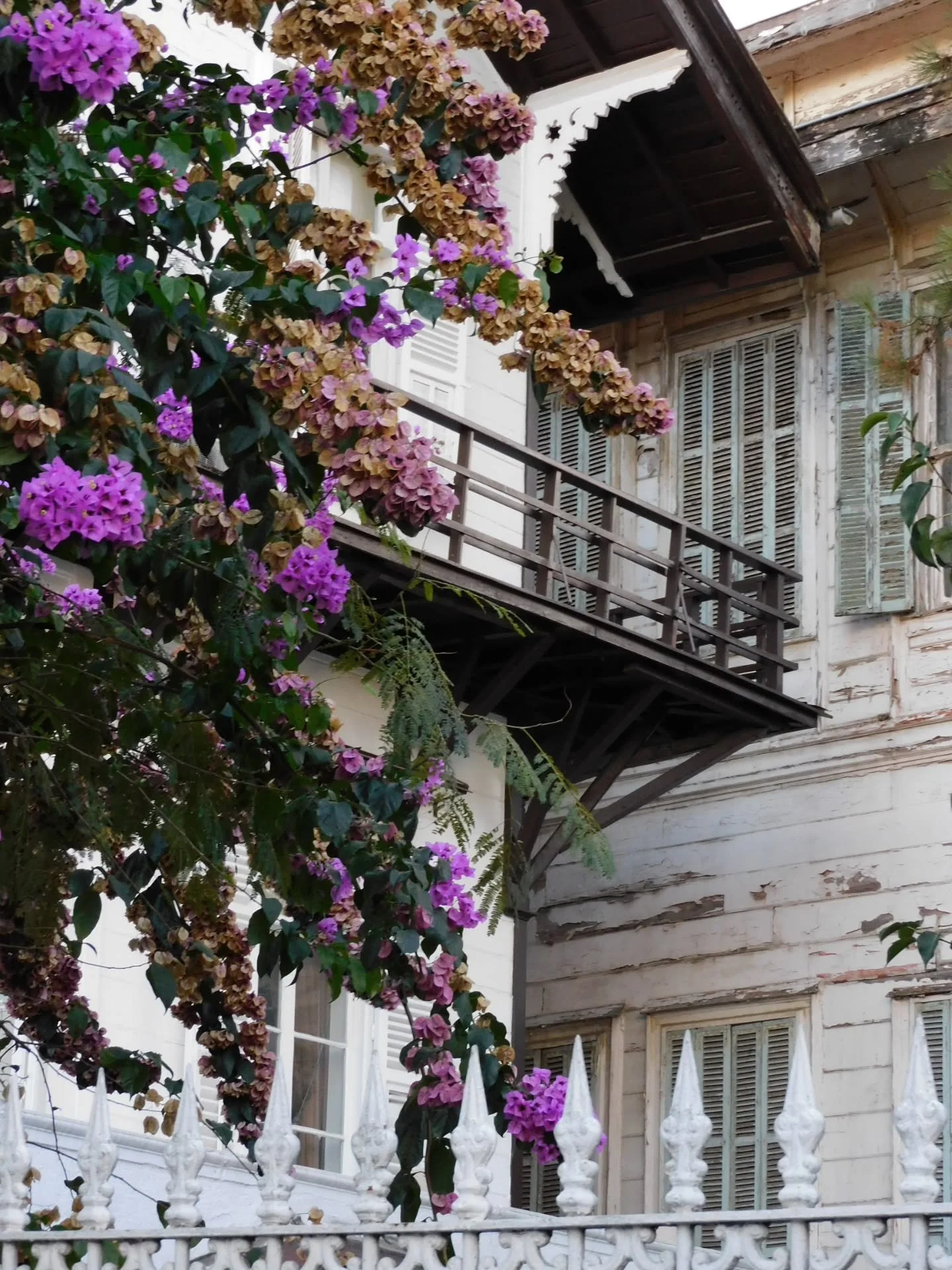 to smell the autumn flowers again in b&uuml;y&uuml;kada (sep 25)