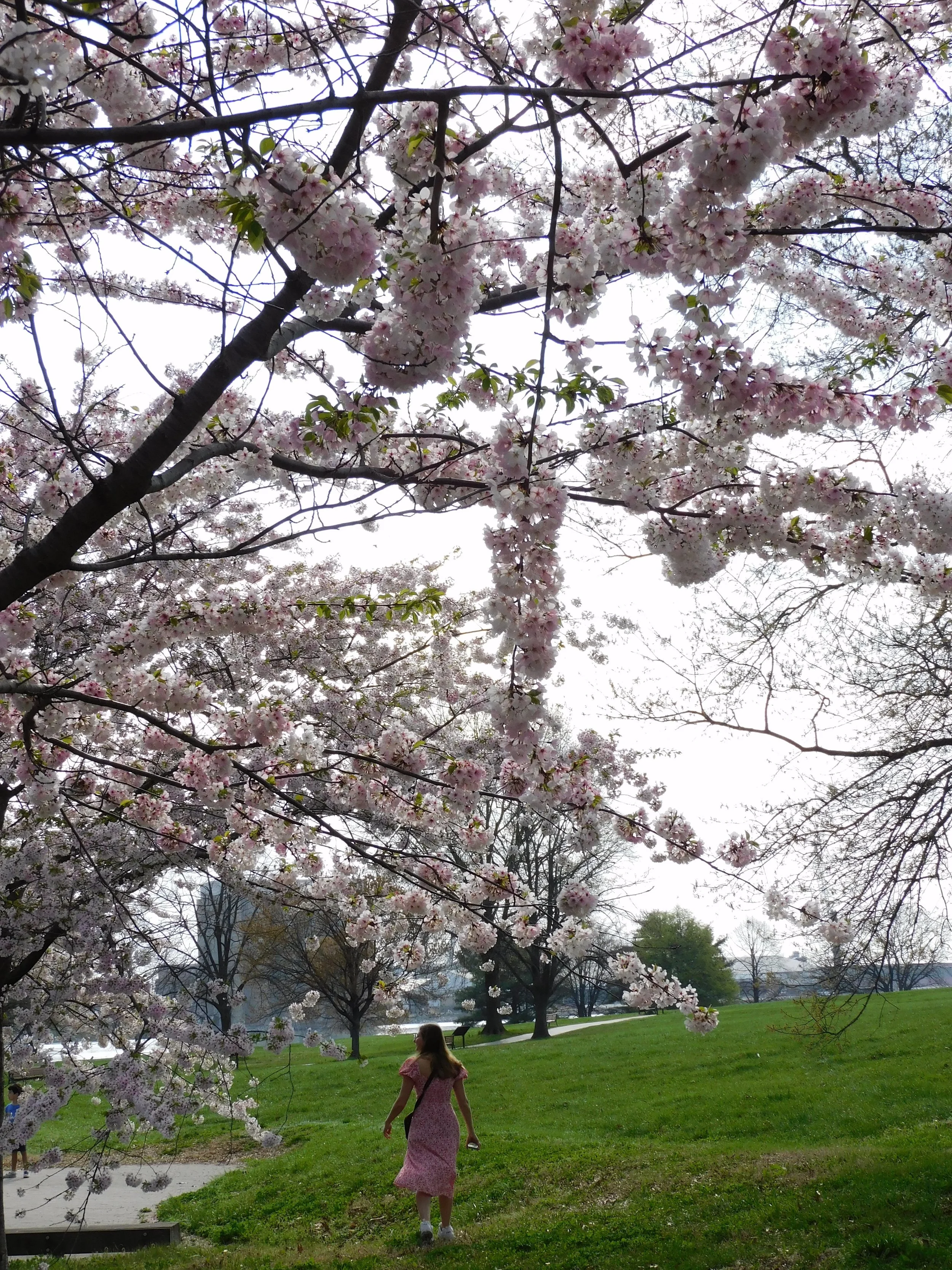 DSCN4612.JPG