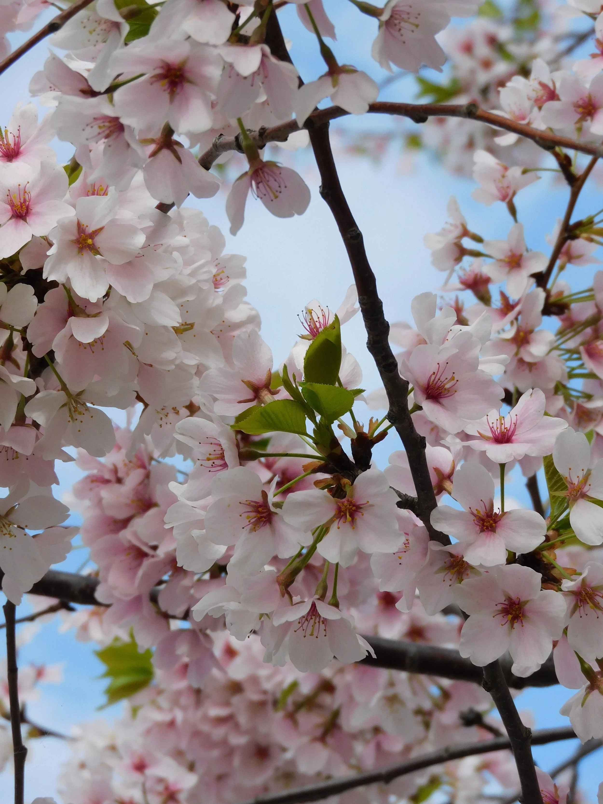 DSCN4649.JPG