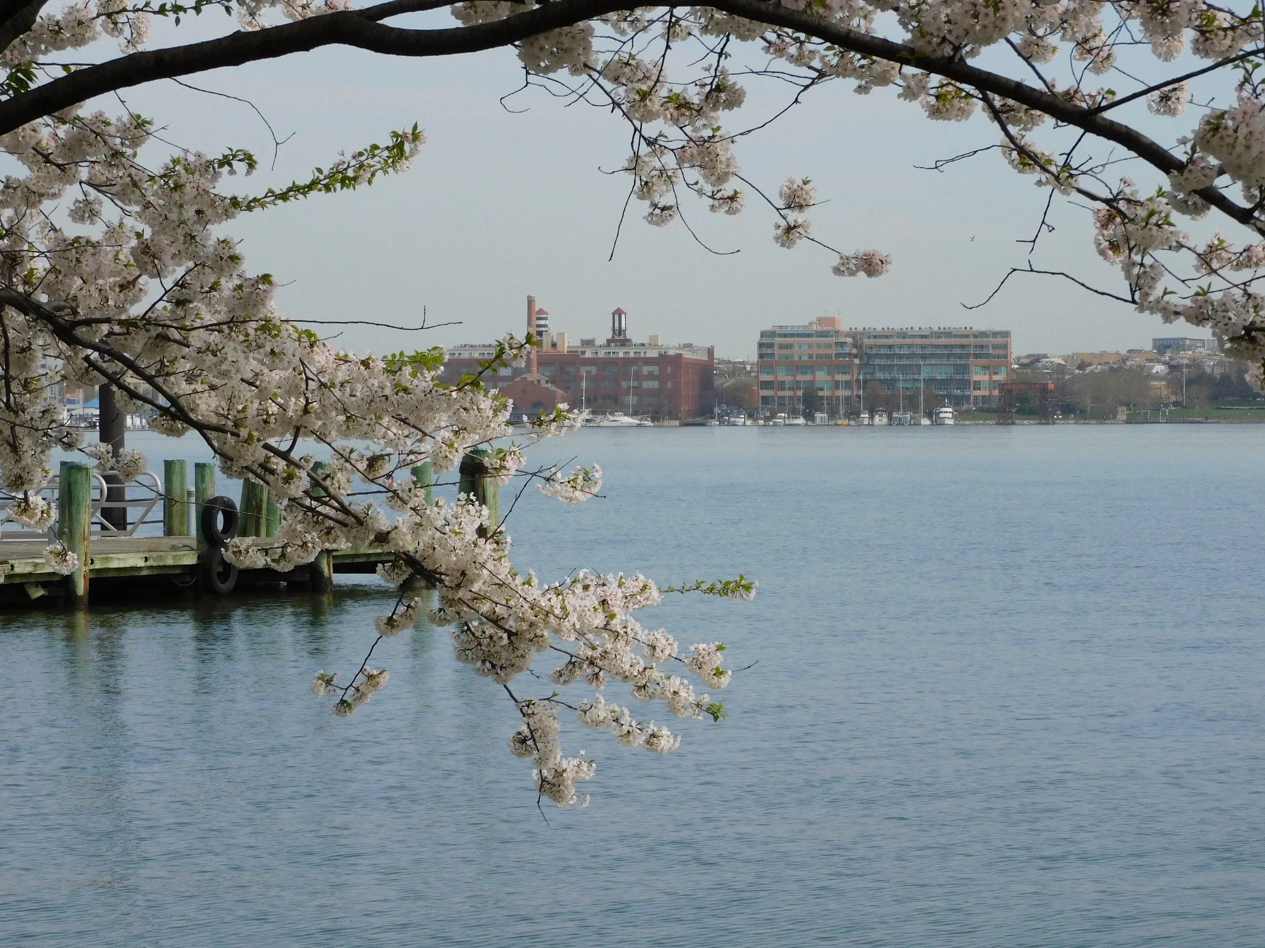 DSCN4668.JPG