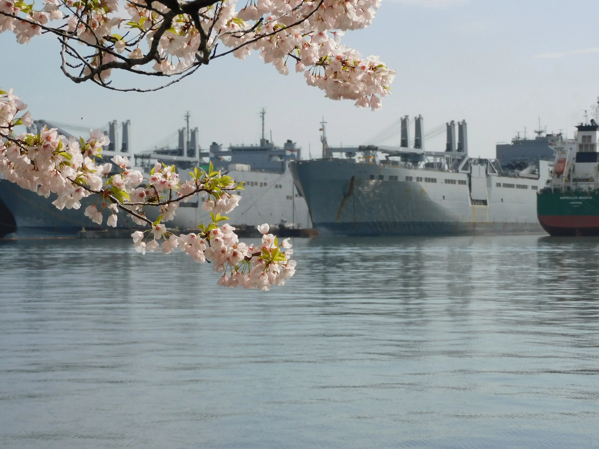 DSCN4670.JPG