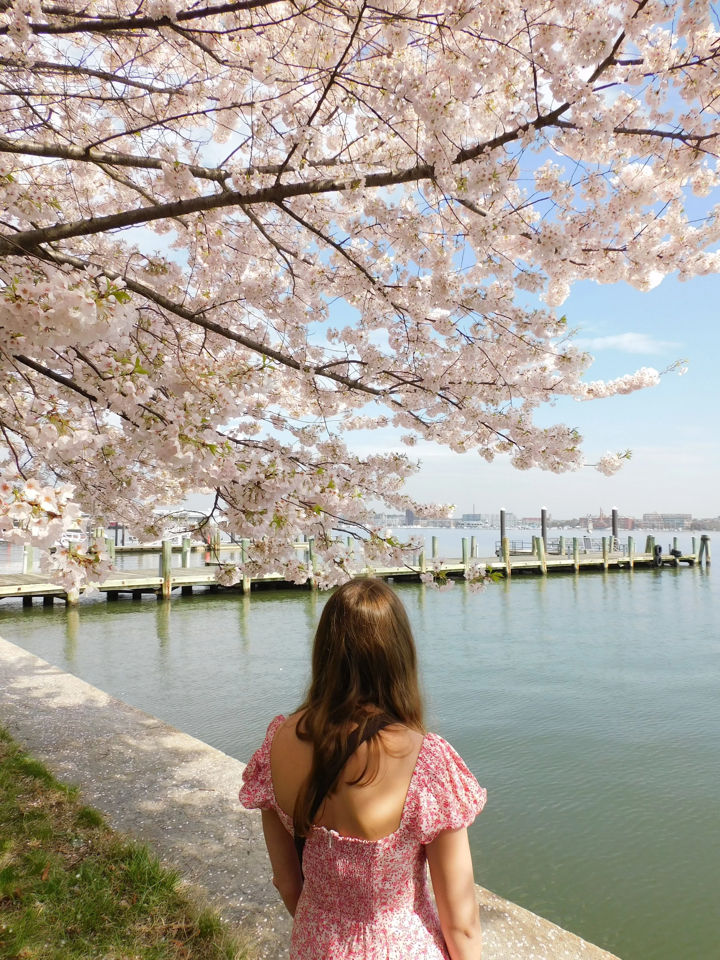 DSCN4680.JPG
