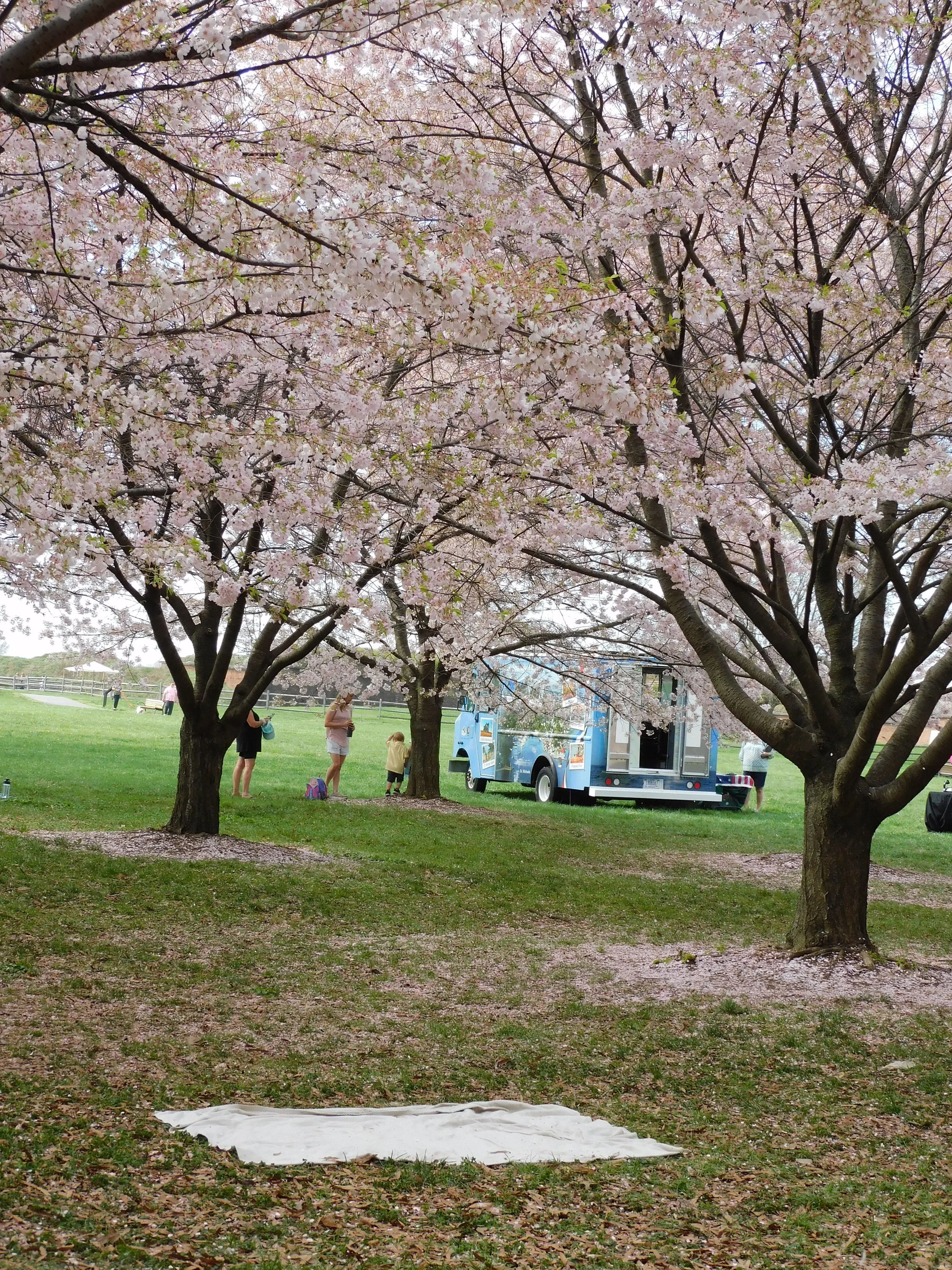 DSCN4719.JPG