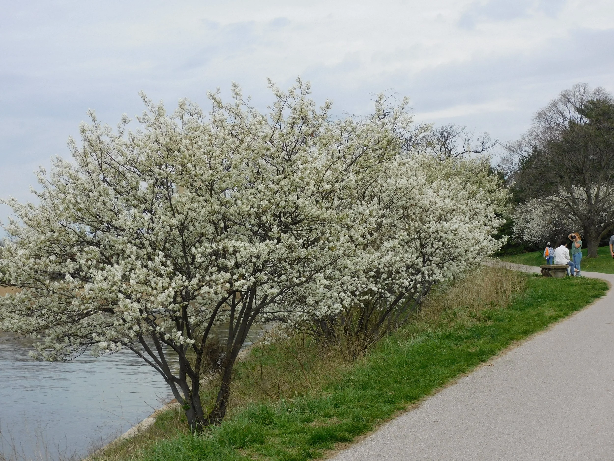 DSCN4727.JPG