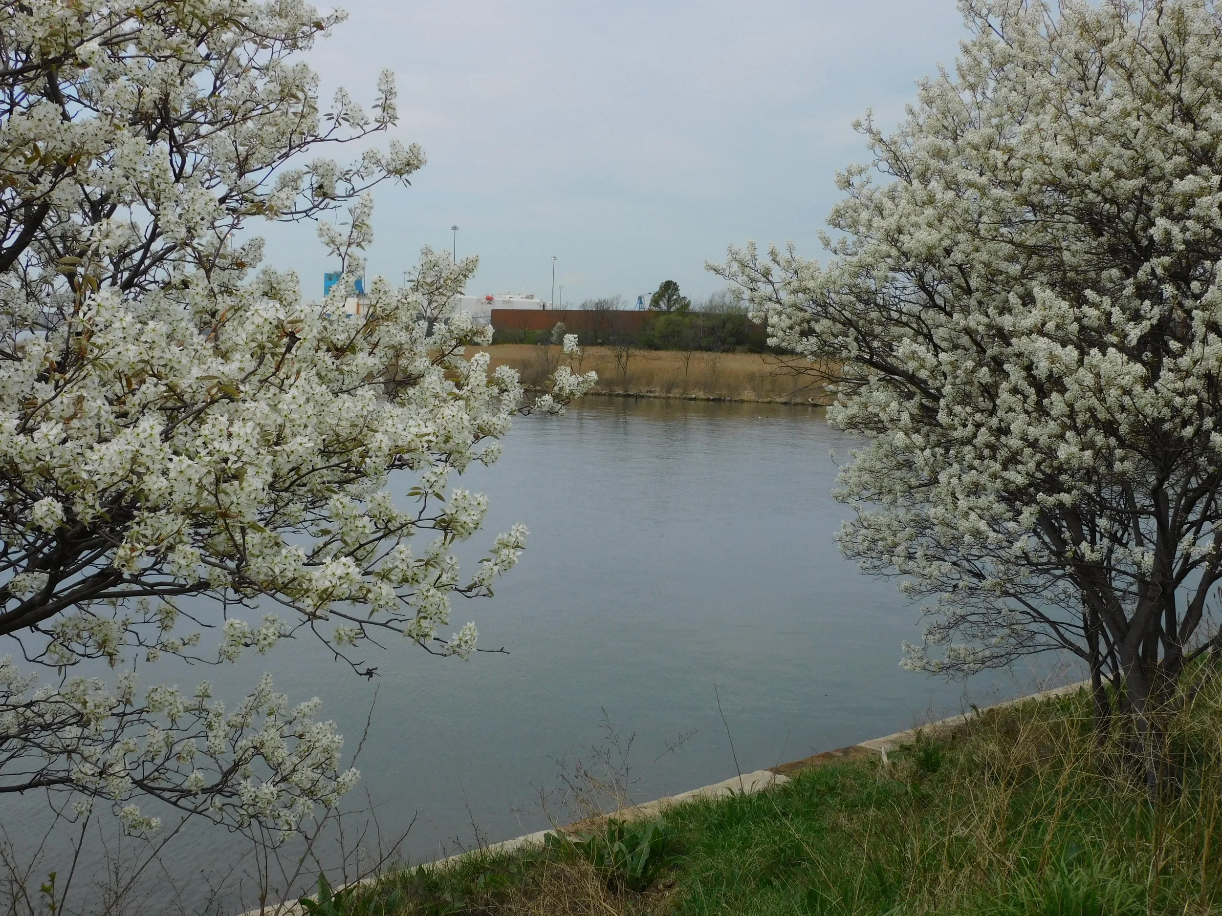 DSCN4728.JPG