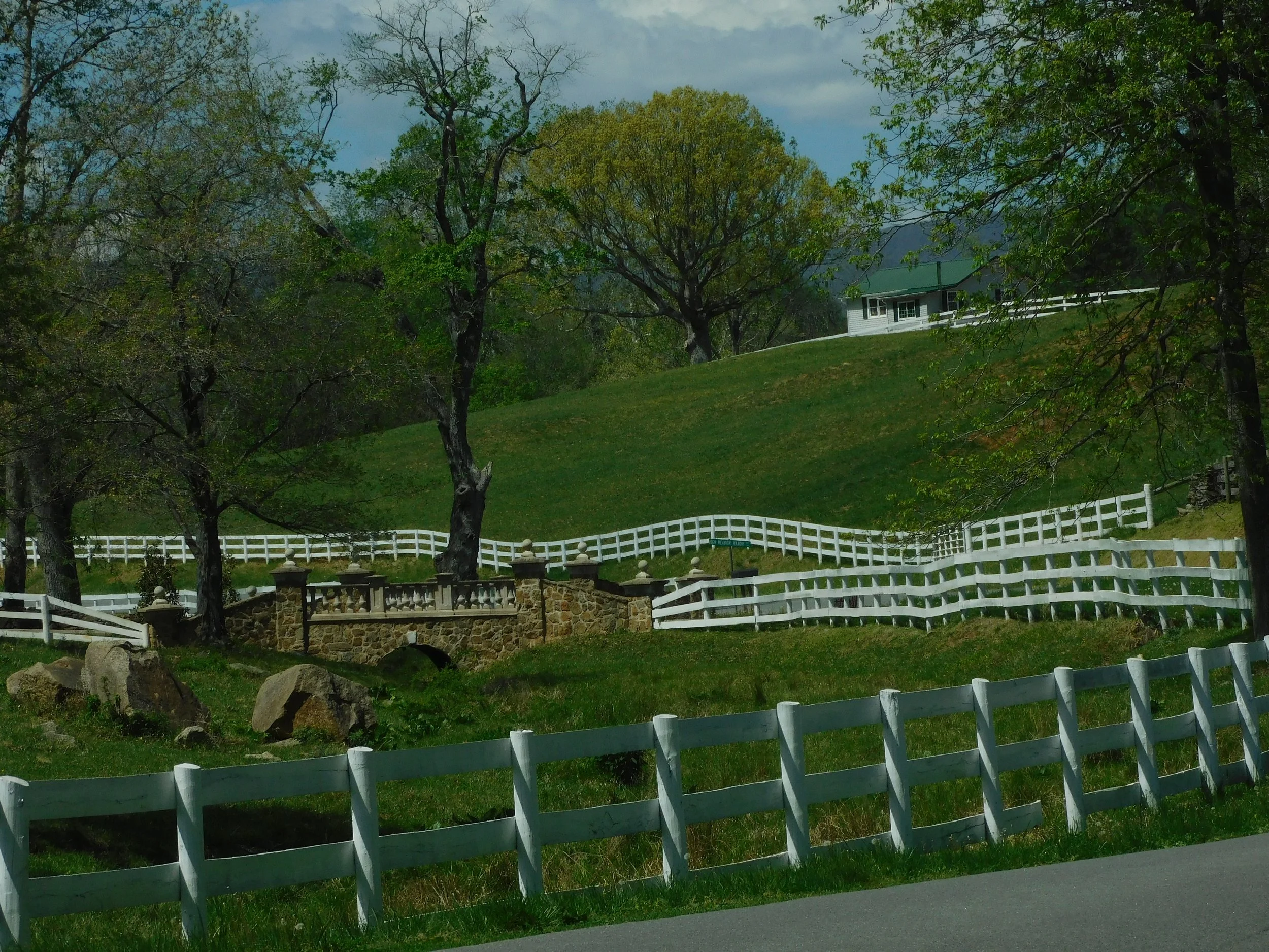 DSCN4852.JPG